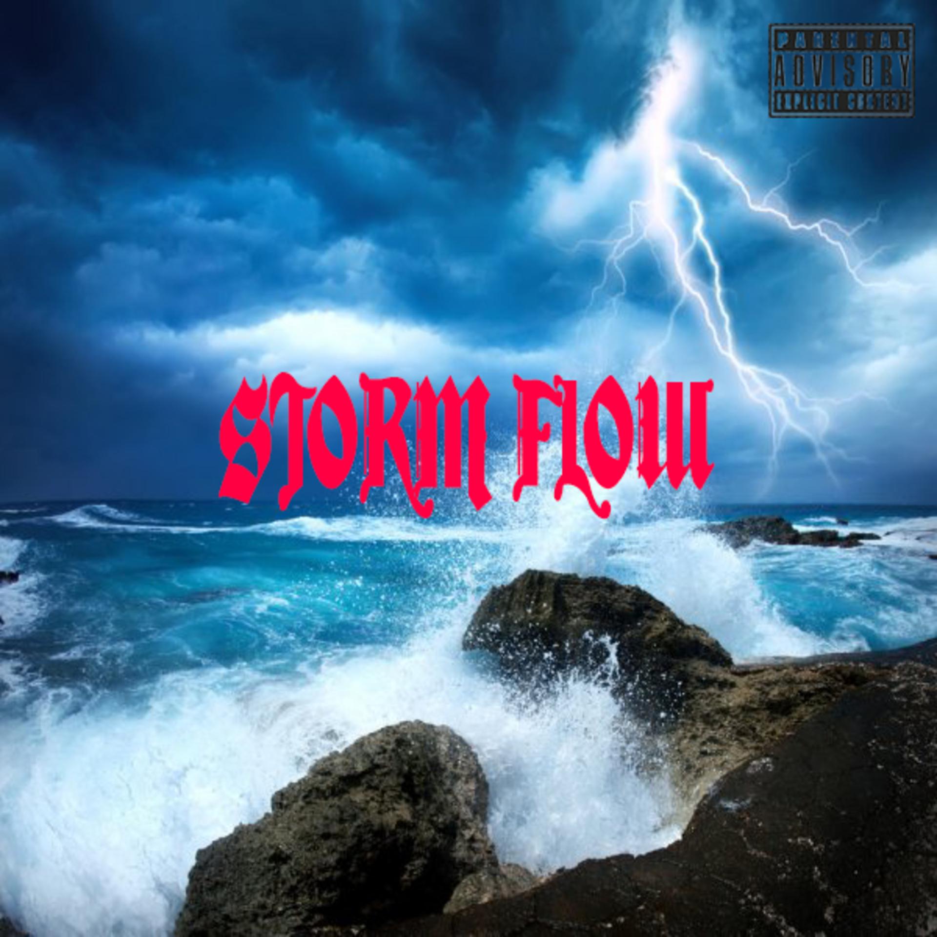 Постер альбома Storm Flow