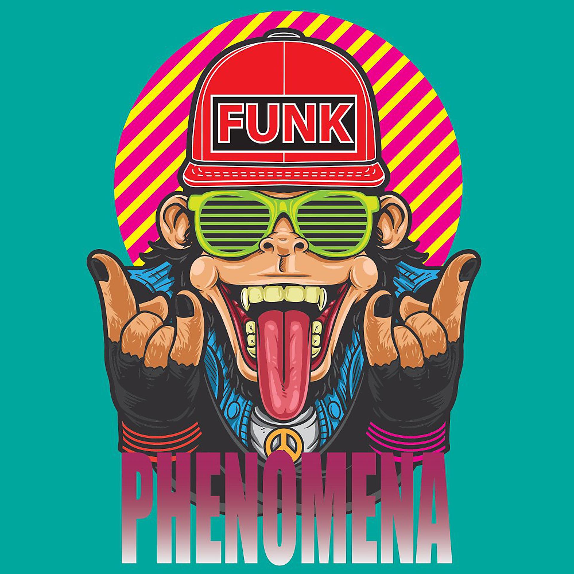 Постер альбома Funk Phenomena