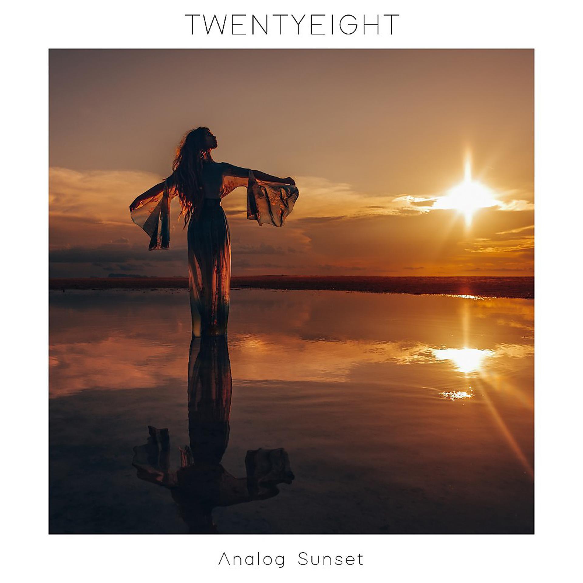 Постер альбома Analog Sunset