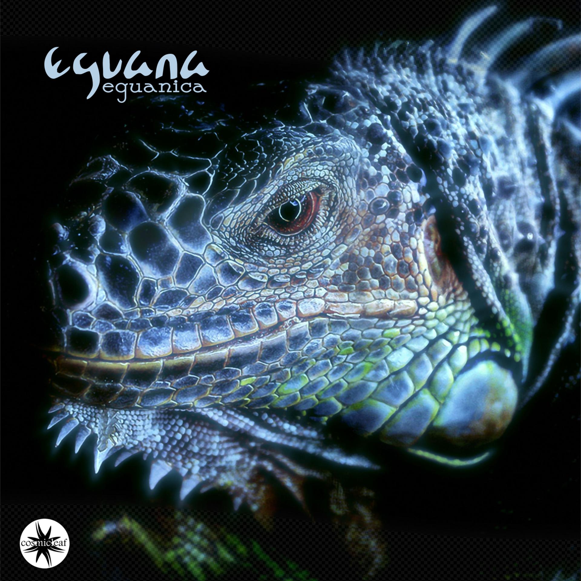 Постер альбома Eguanica