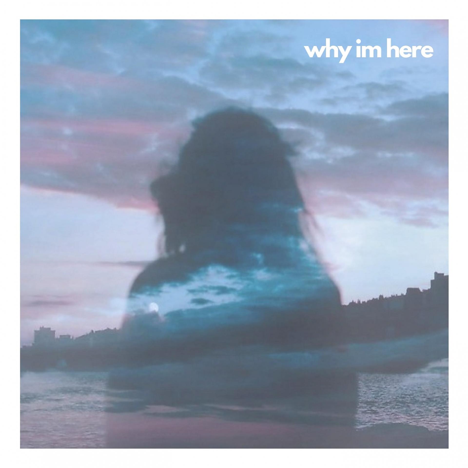 Постер альбома Why Im Here