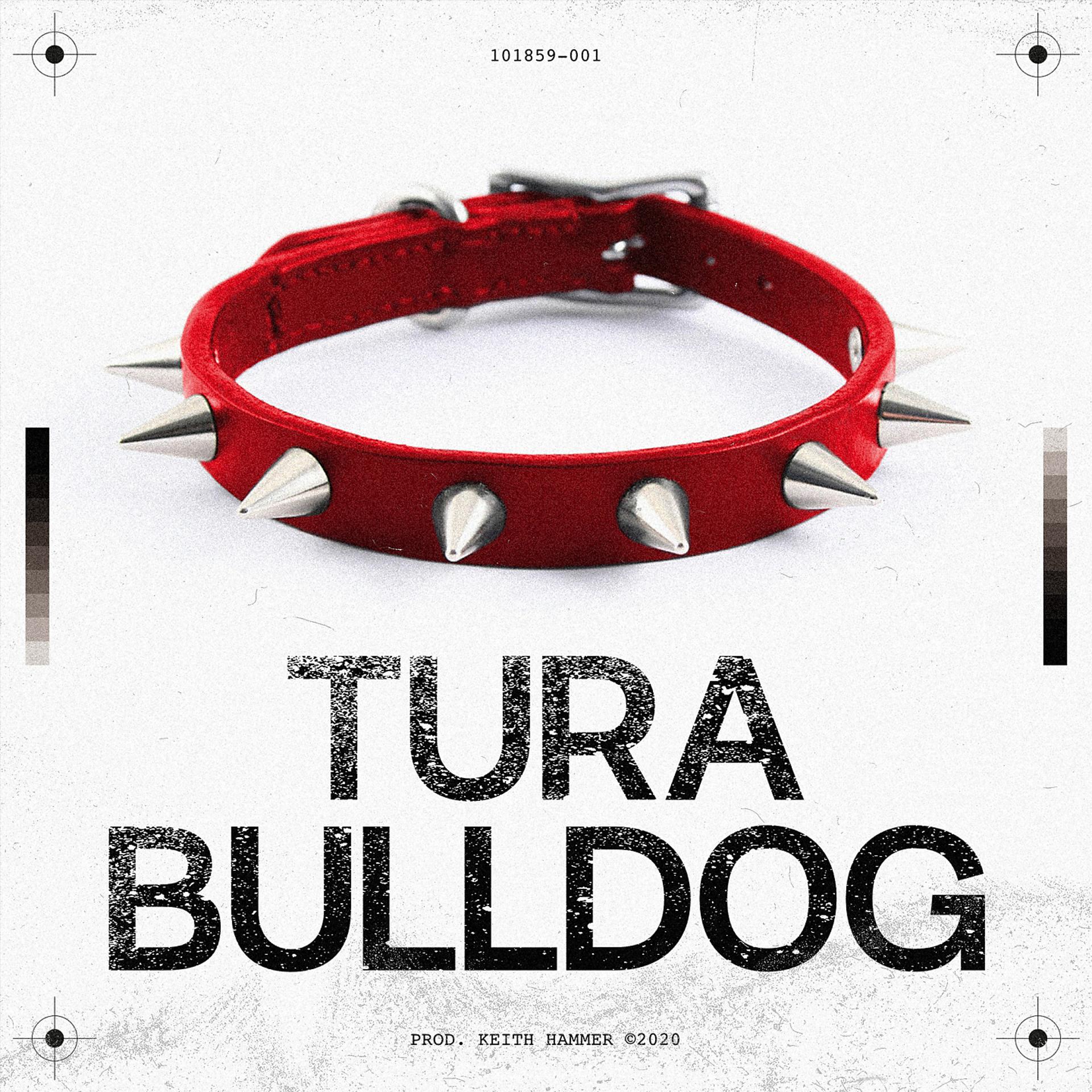 Постер альбома Bulldog