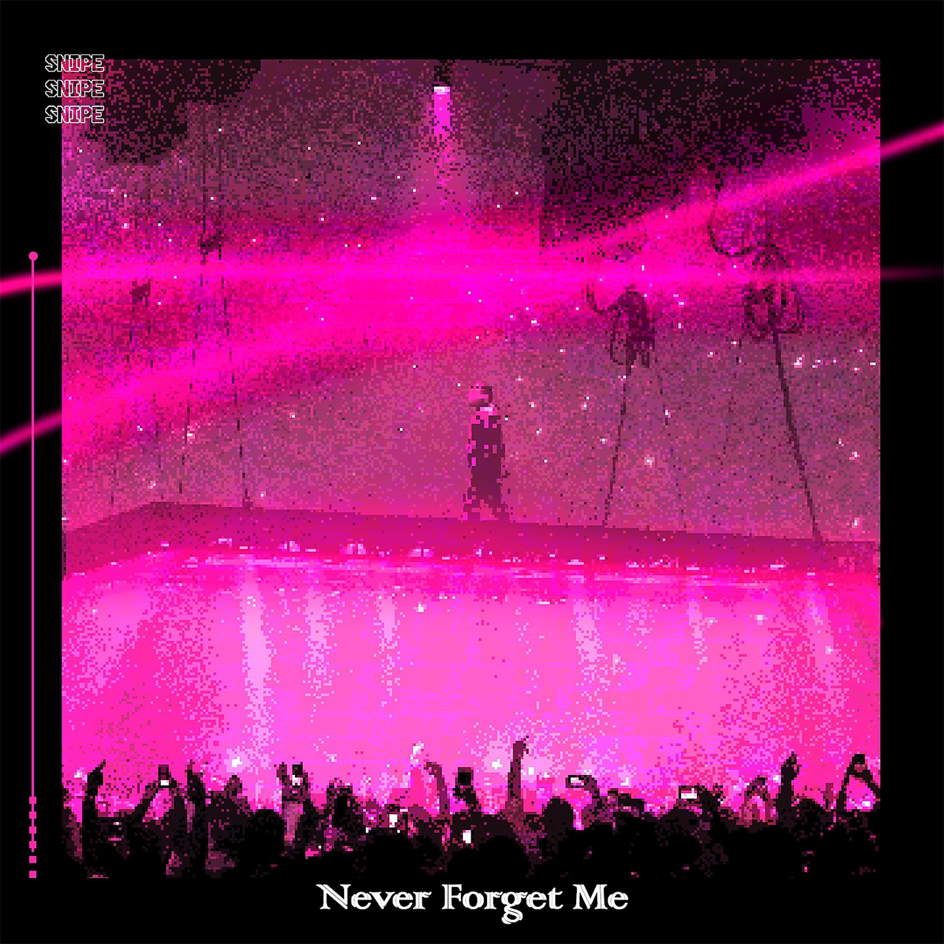 Постер альбома Never Forget Me