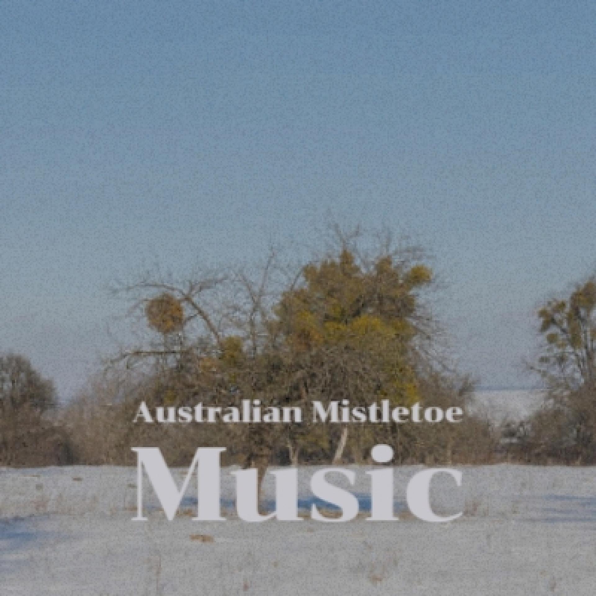 Постер альбома Australian Mistletoe Music