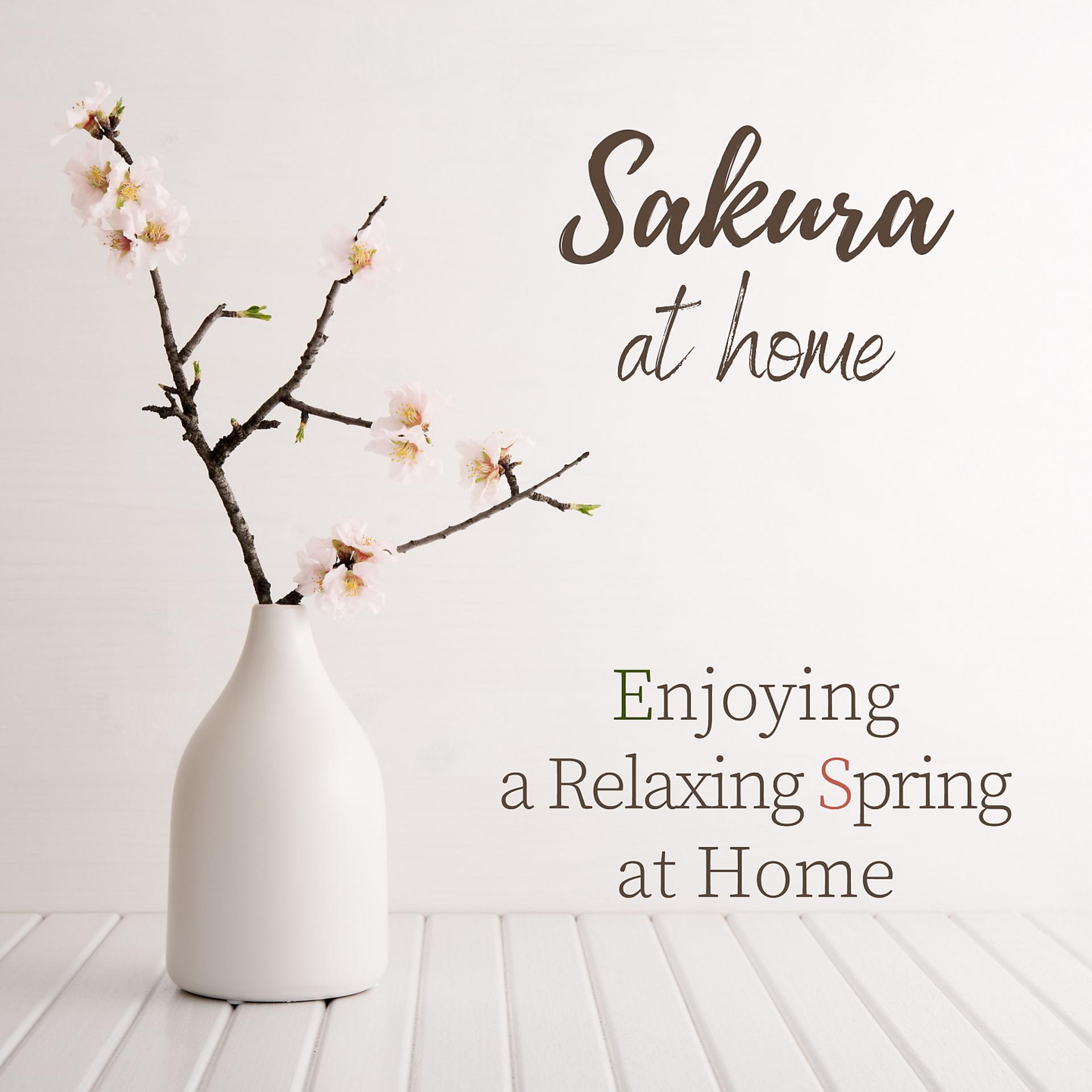 Постер альбома Sakura at Home - Enjoying a Relaxing Spring at Home