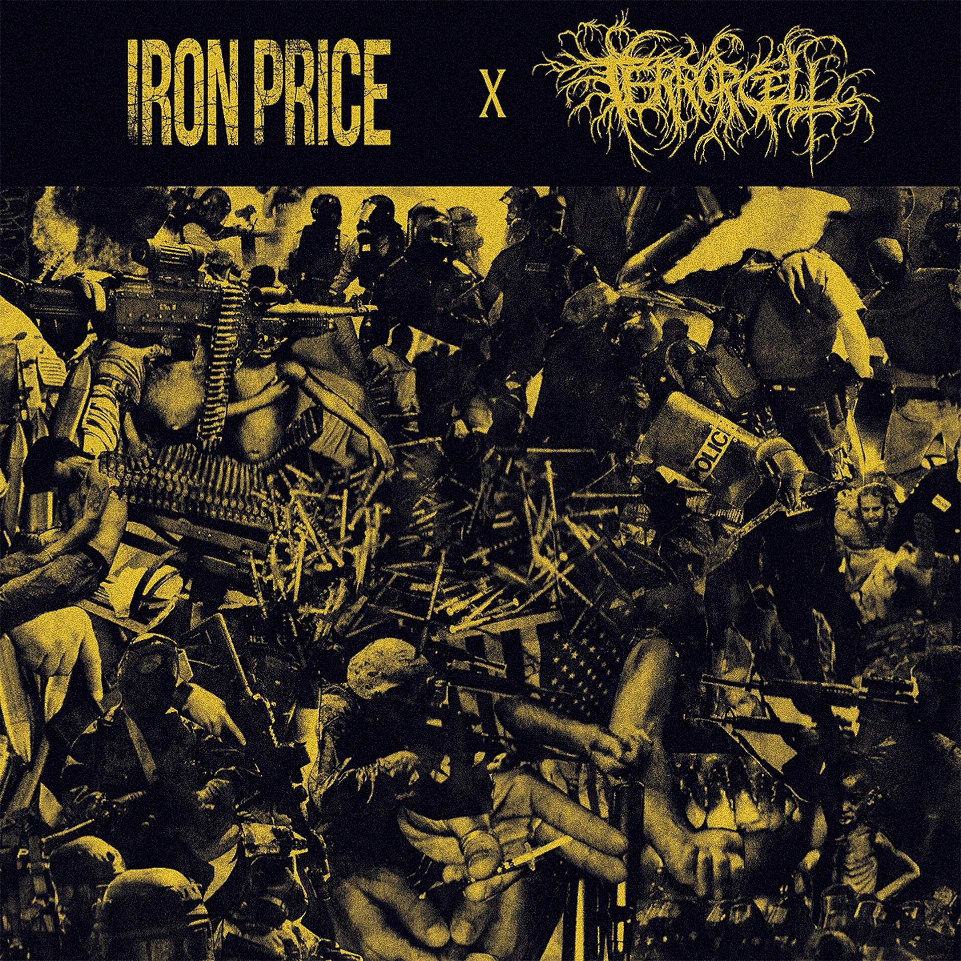 Постер альбома Iron Price X Terror Cell Split