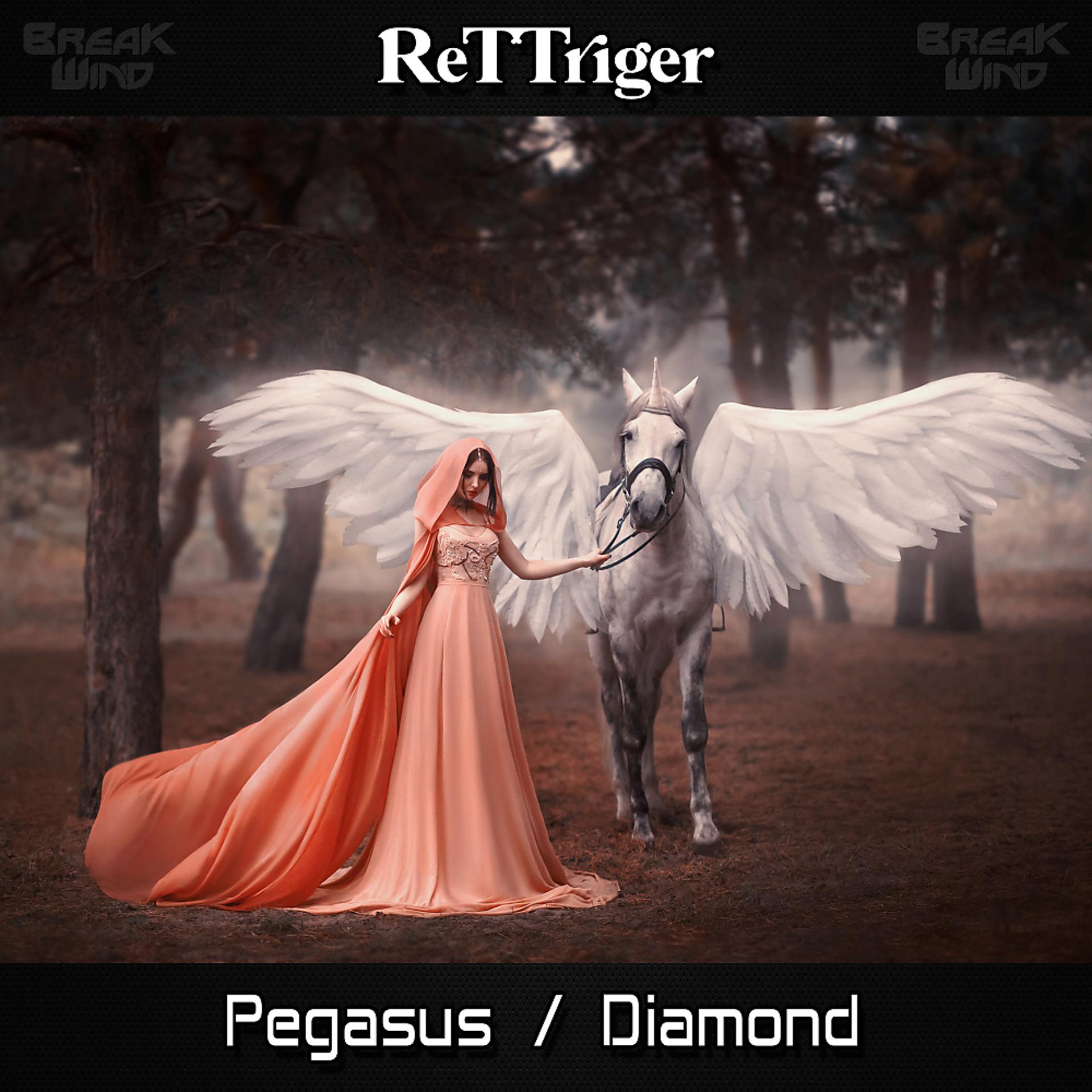 Постер альбома Pegasus / Diamond