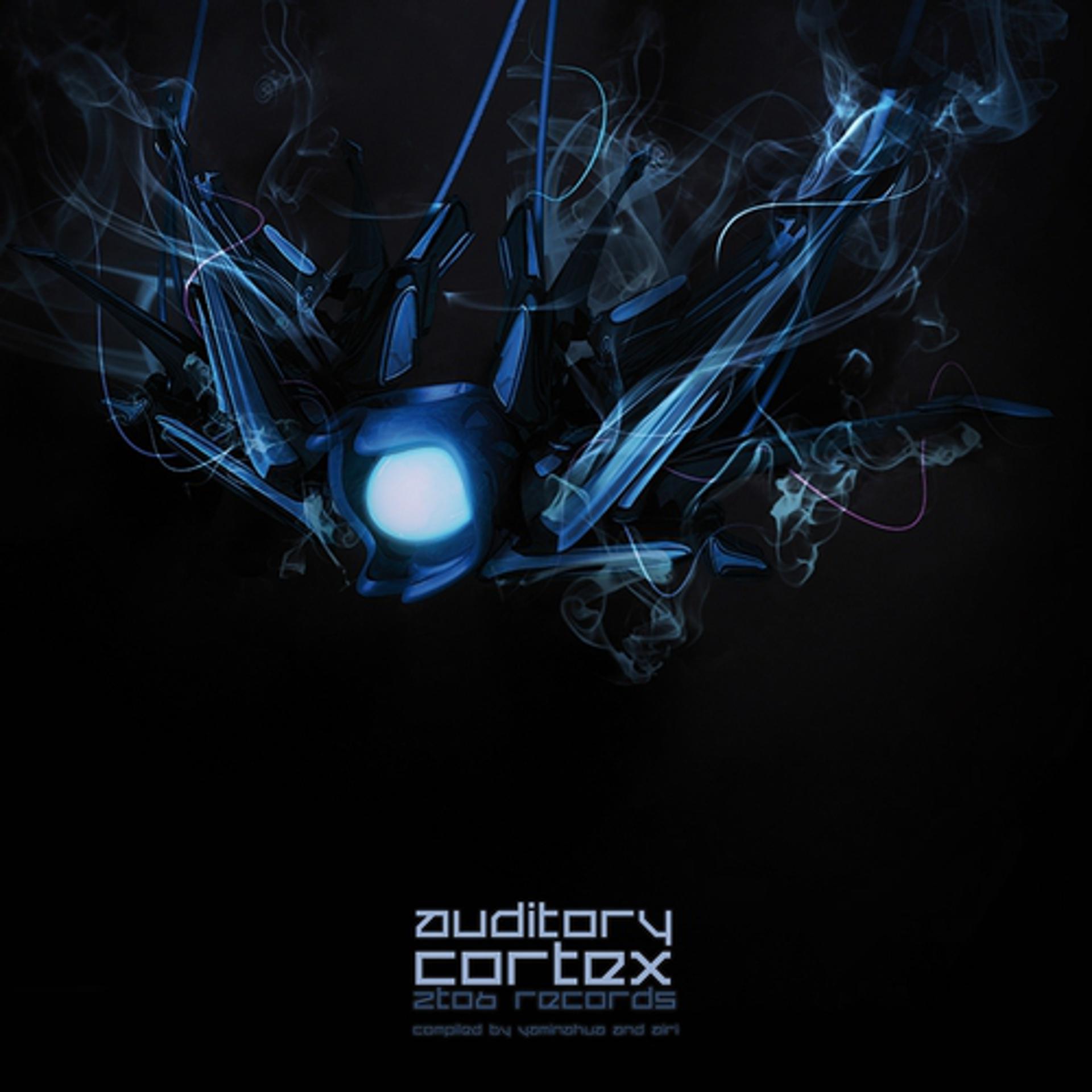 Постер альбома Auditory Cortex