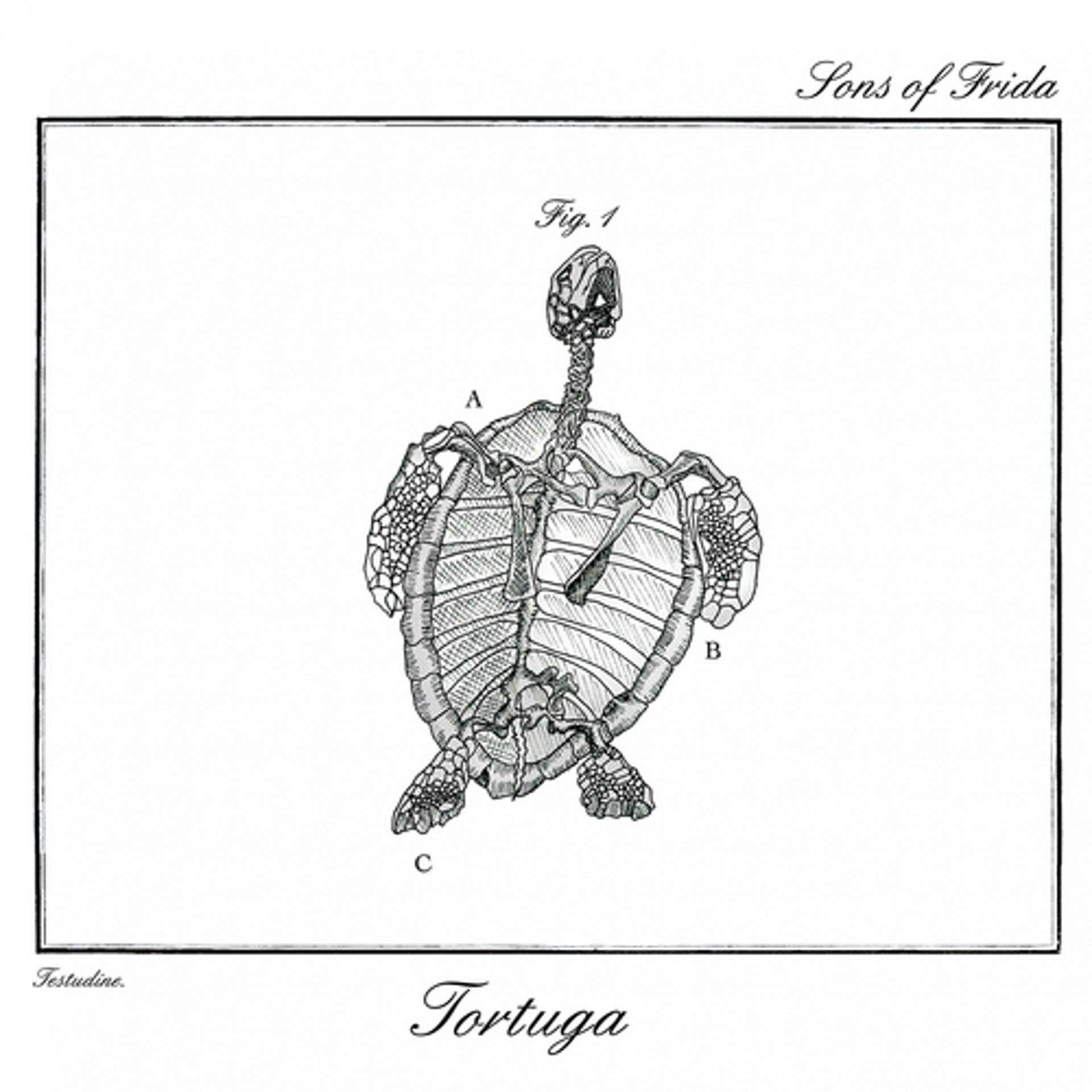 Постер альбома Tortuga