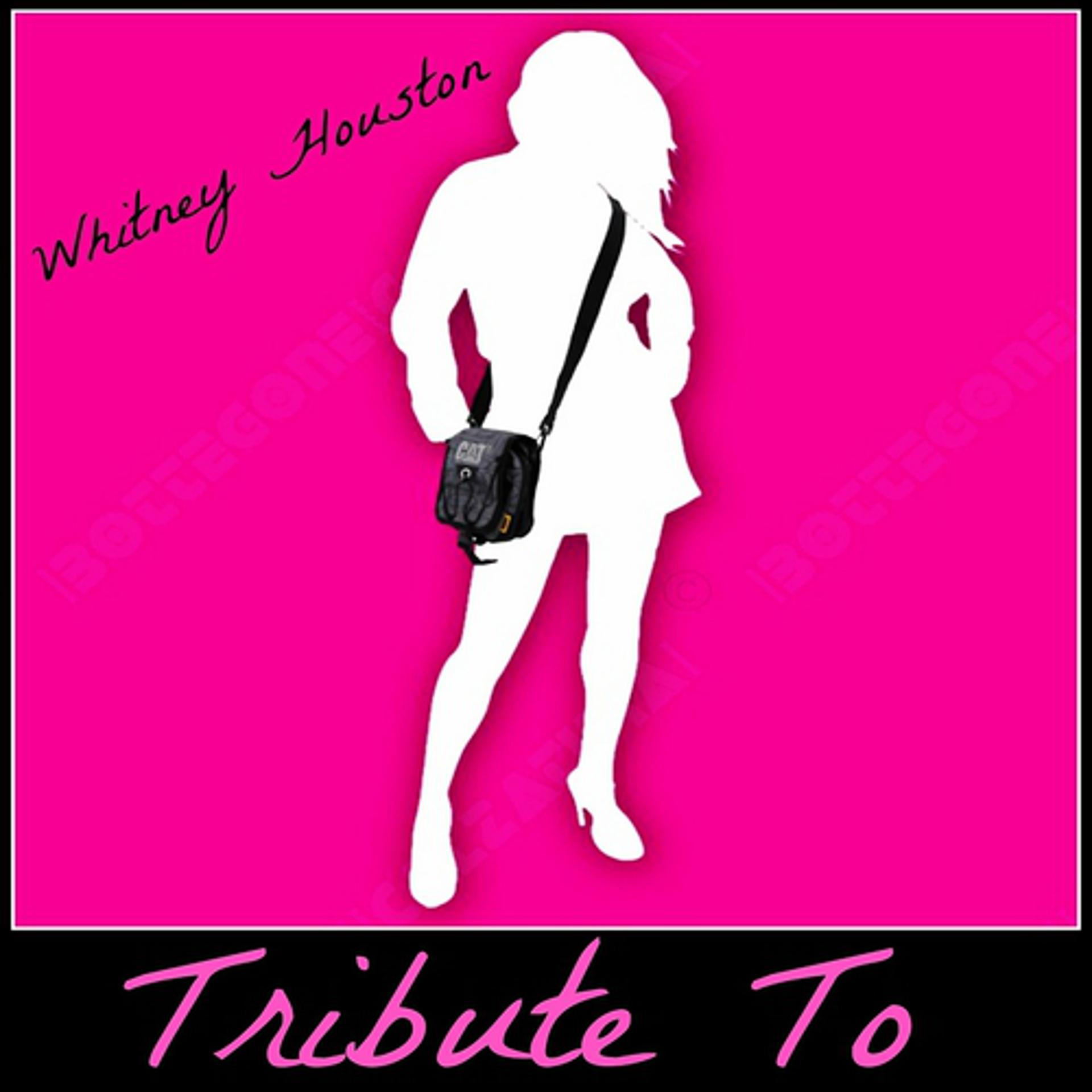 Постер альбома Tribute to Whitney Houston