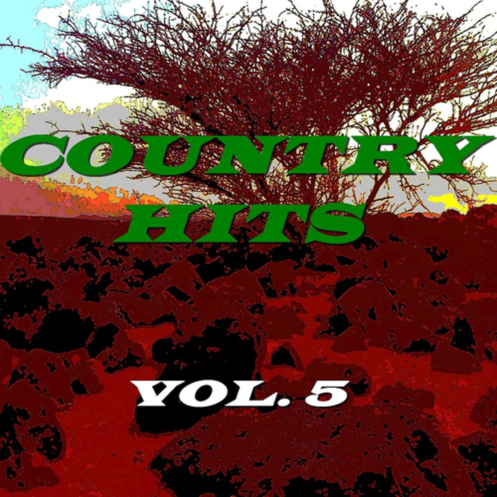 Постер альбома Country Hits, Vol. 5