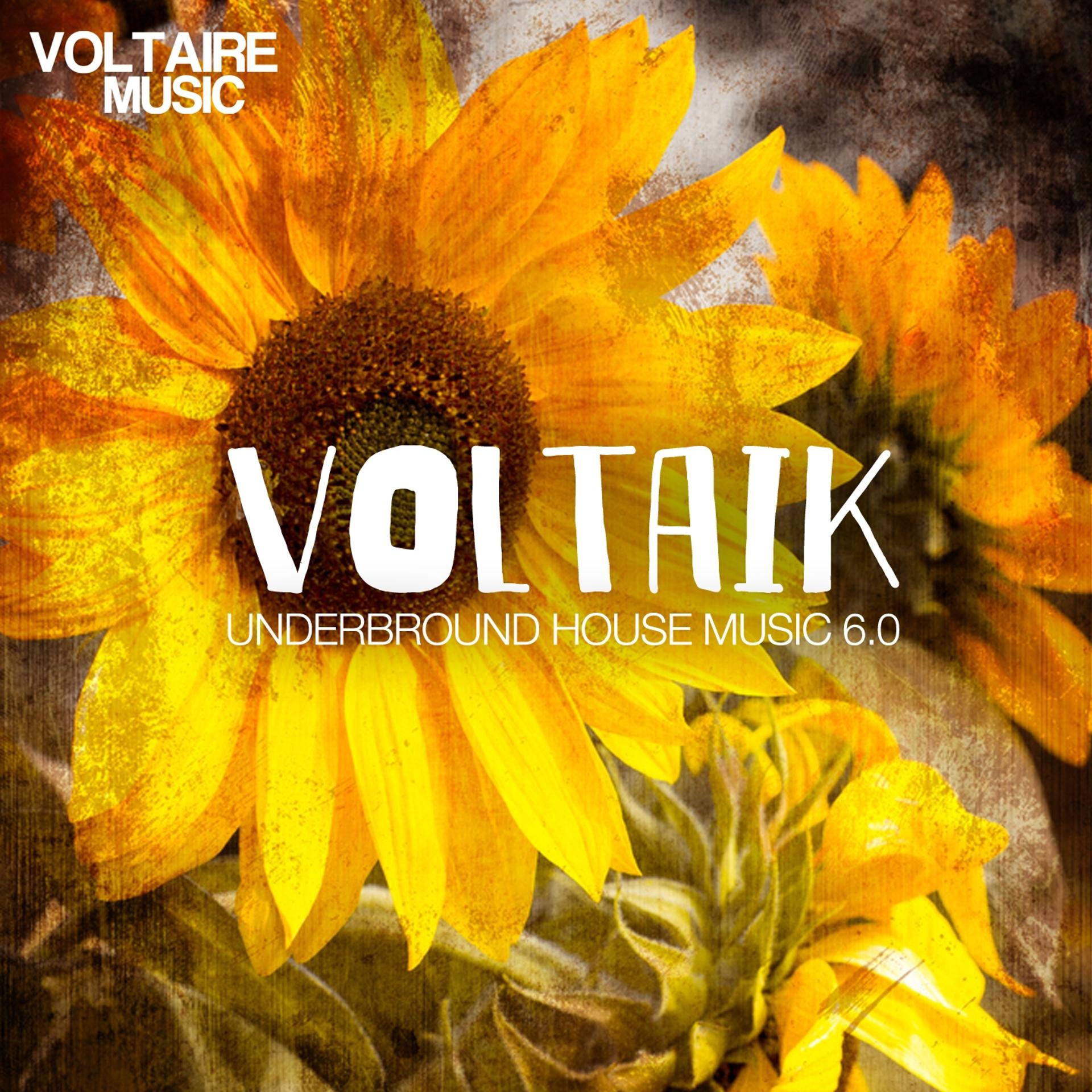 Постер альбома Voltaik 6.0