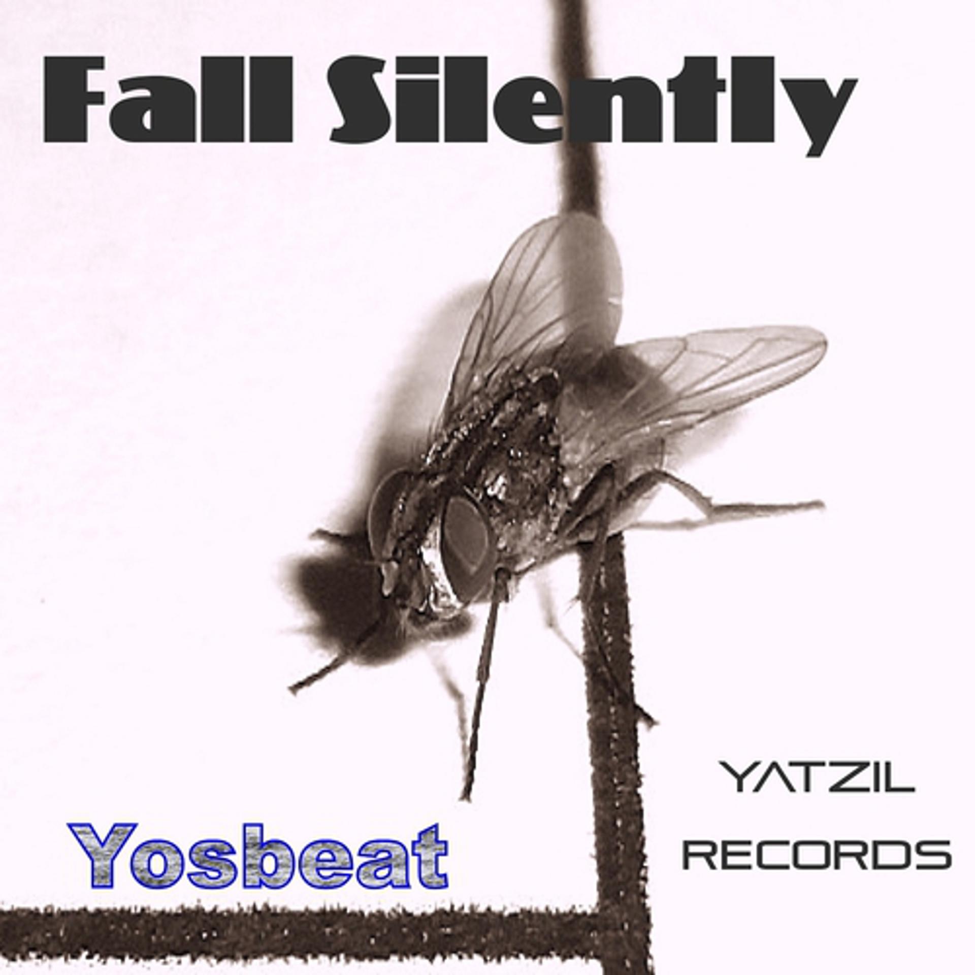 Постер альбома Fall Silently