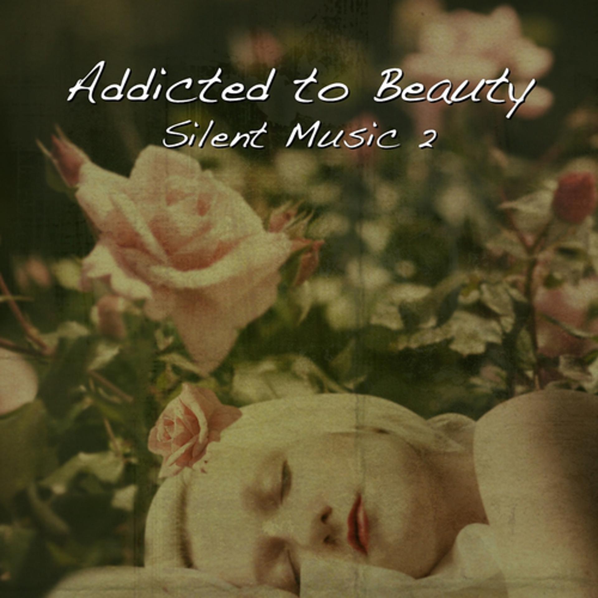 Постер альбома Addicted To Beauty - Silent Music, Vol. 2