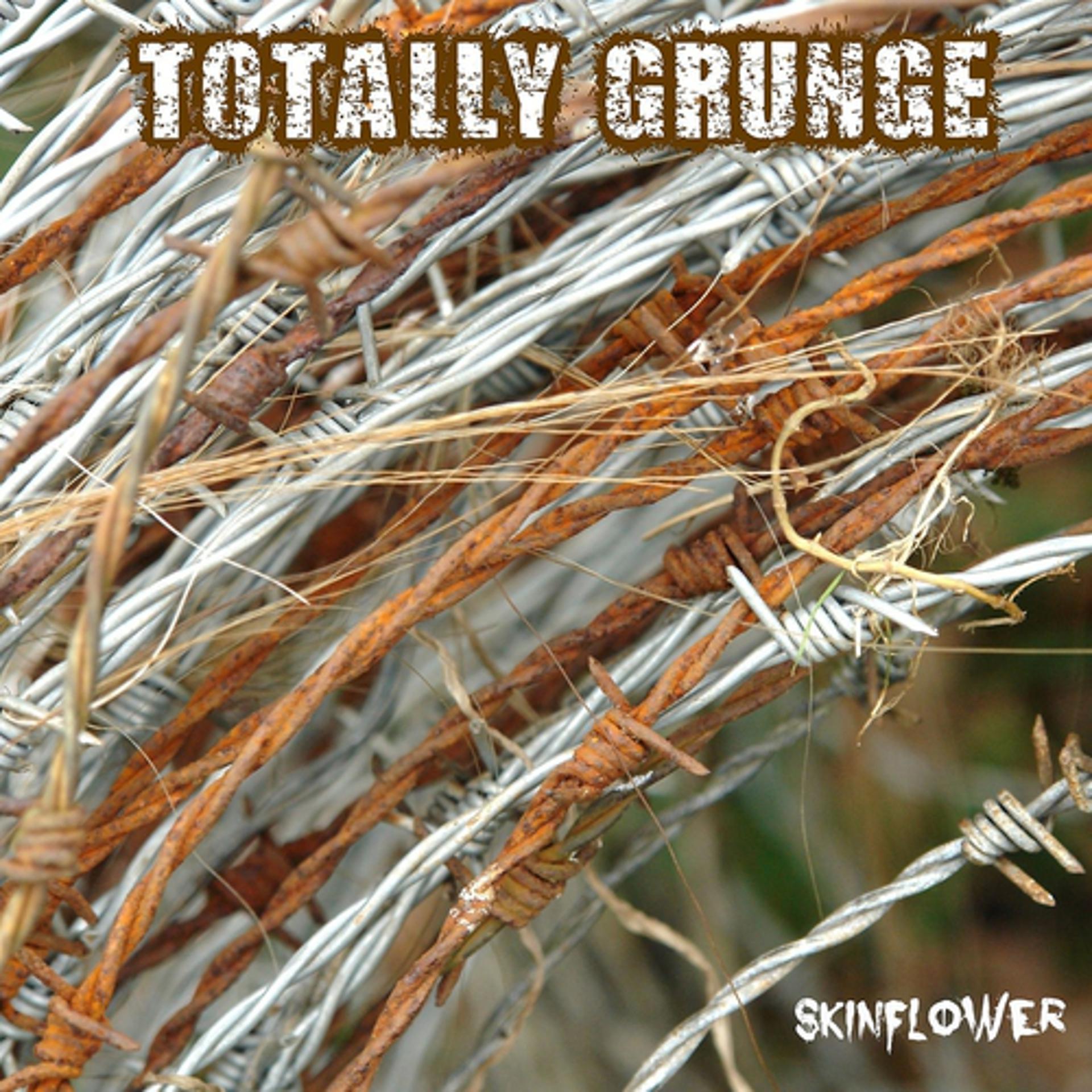 Постер альбома Totally Grunge