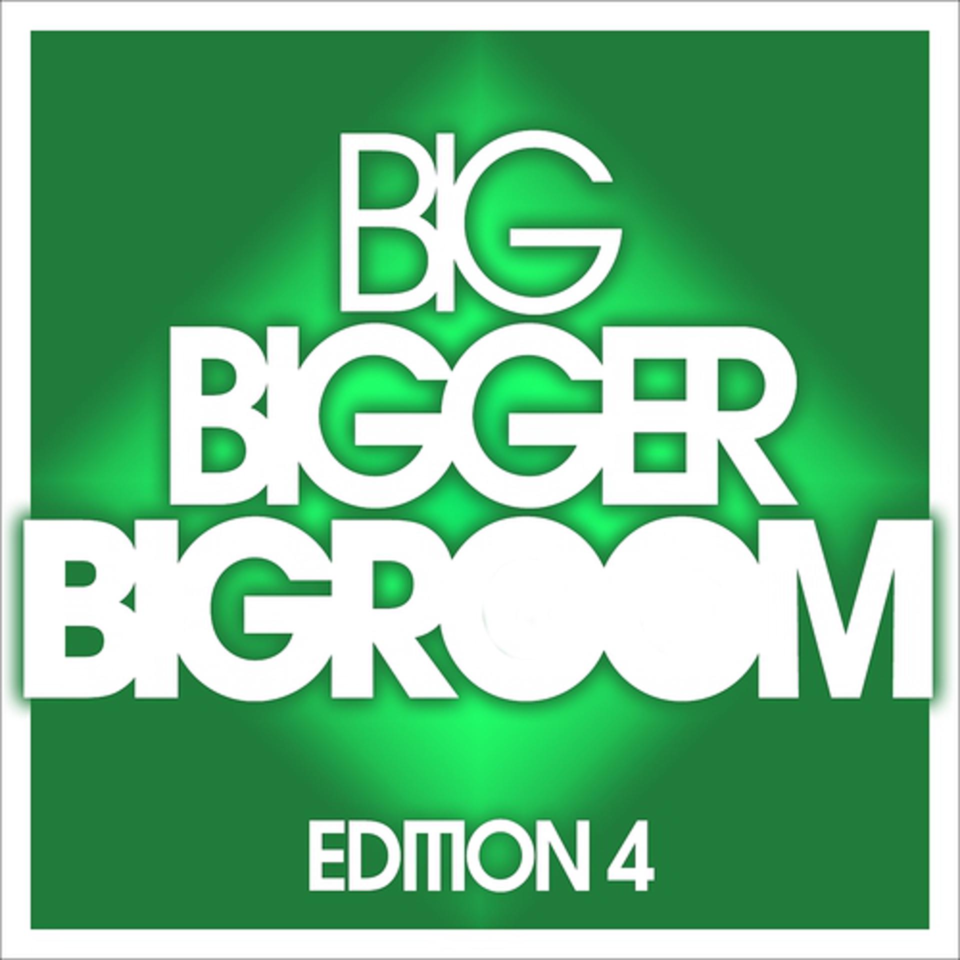 Постер альбома Big, Bigger, Bigroom - Edition 4
