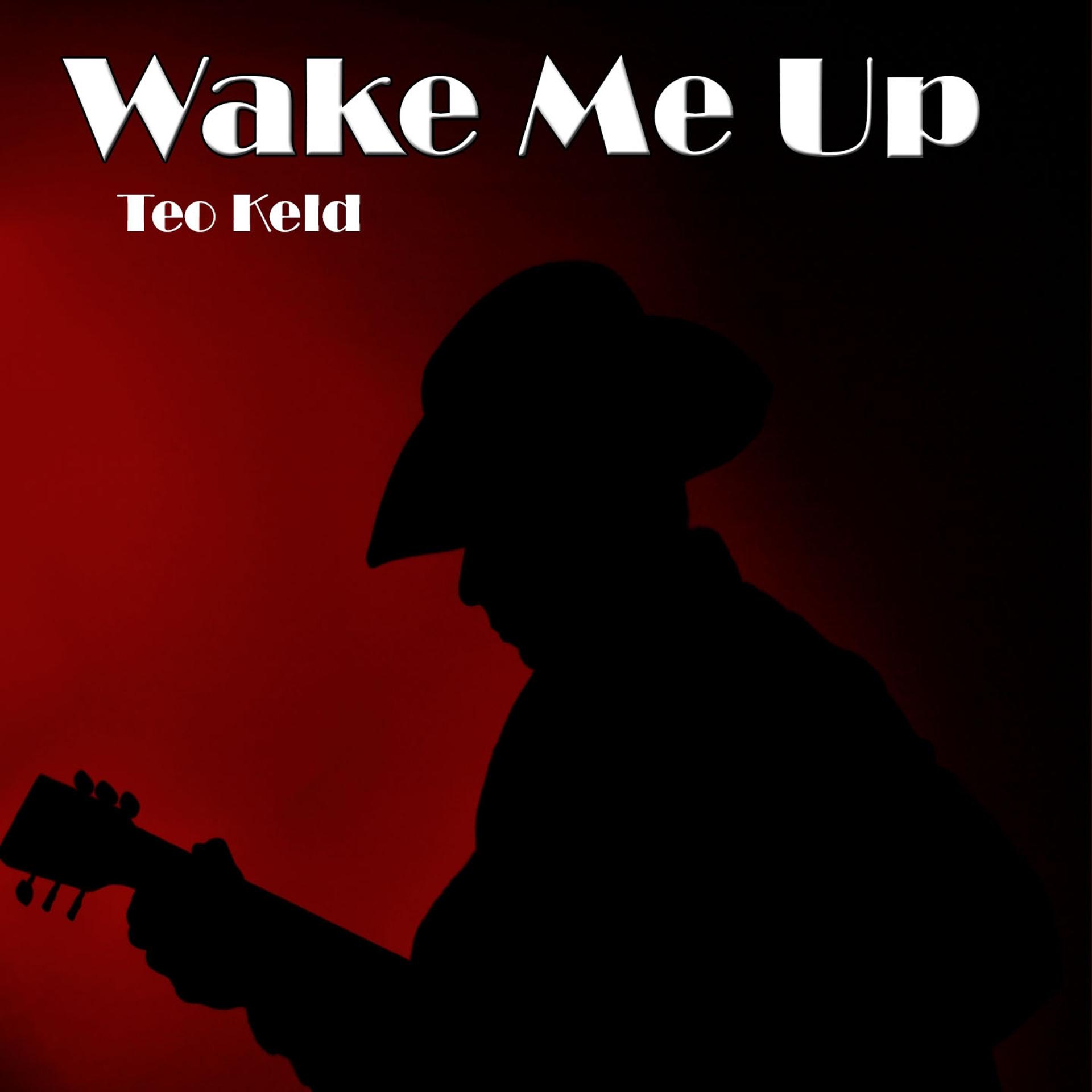 Постер альбома Wake Me Up: Tribute To Avicii