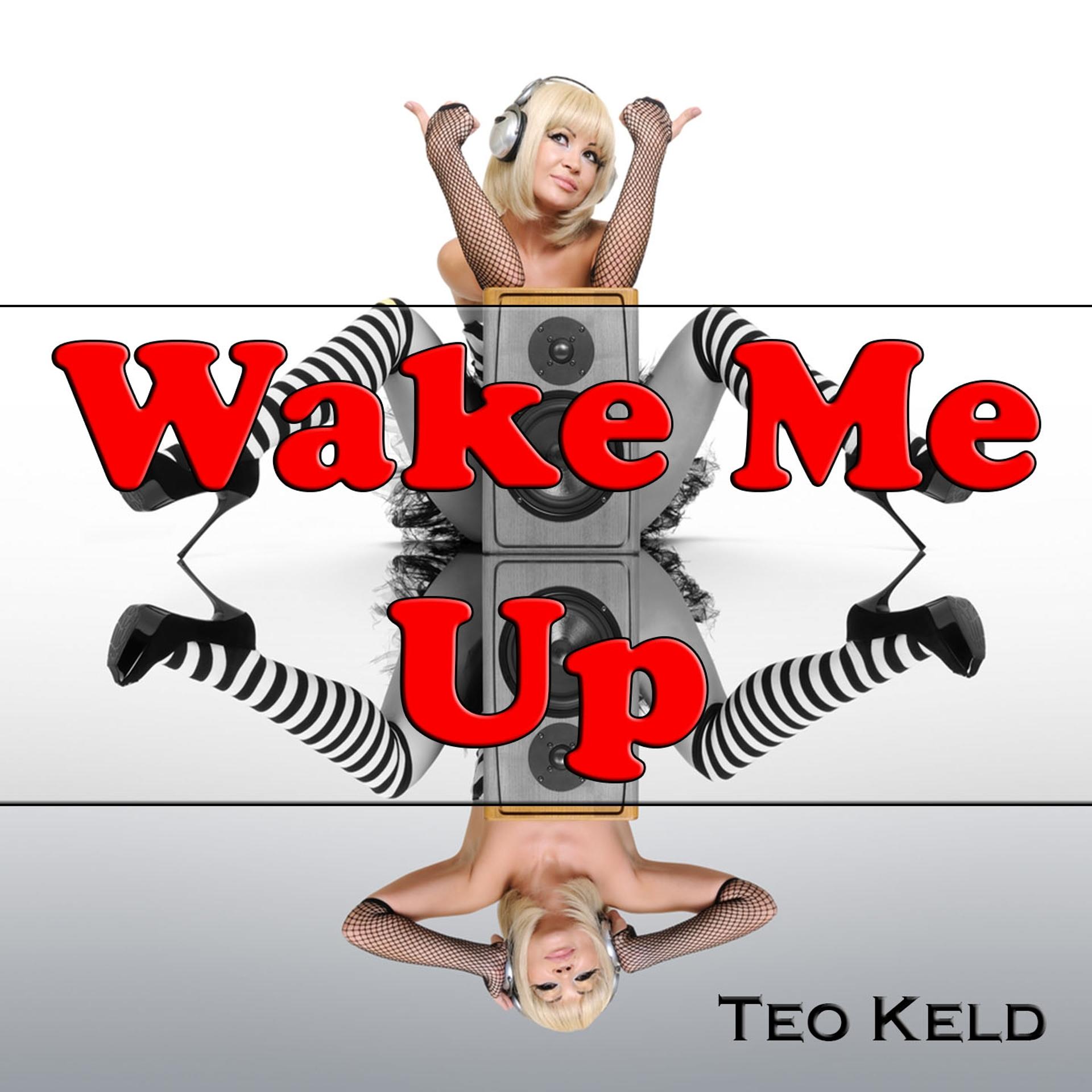 Постер альбома Wake Me Up : Tribute to Avicii