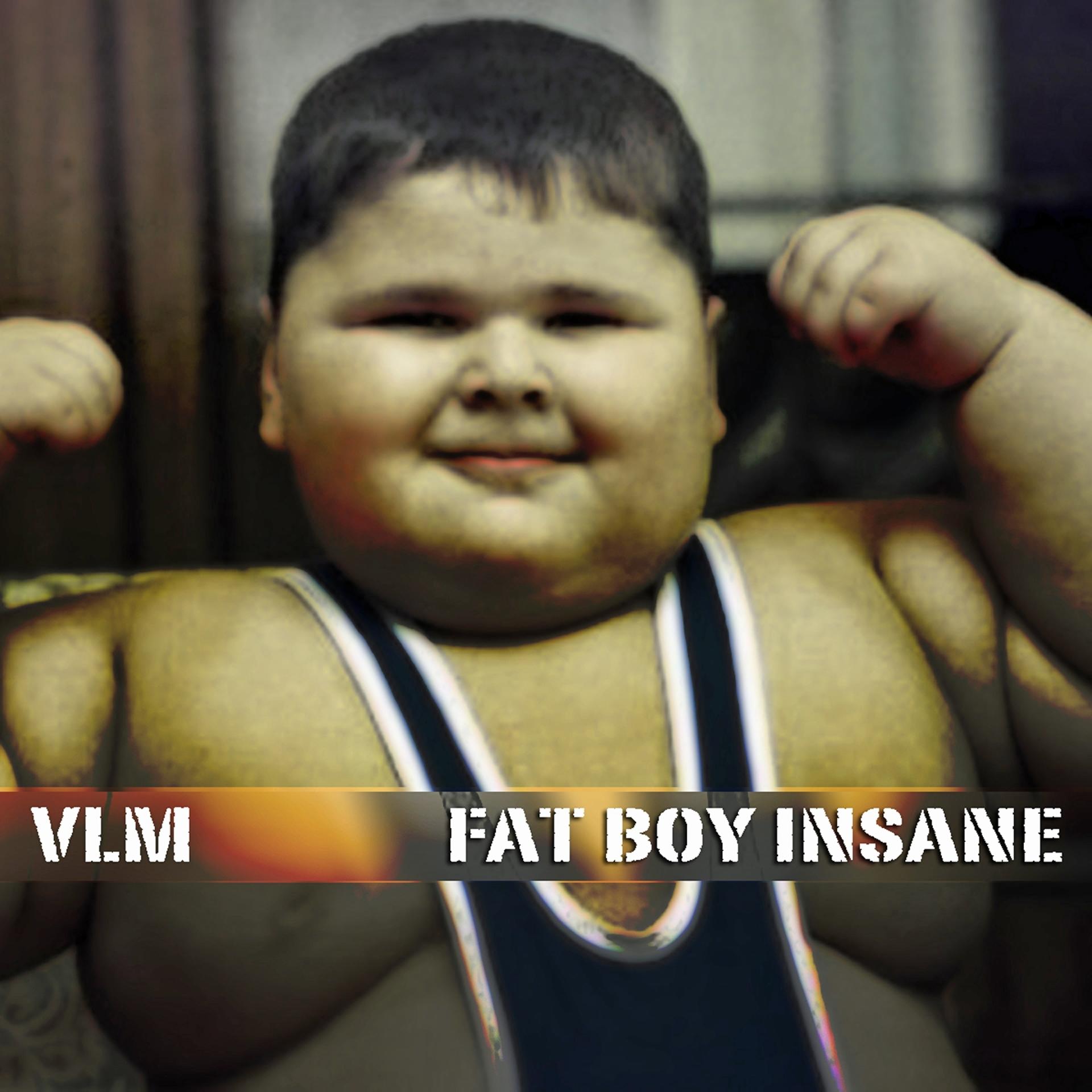 Постер альбома Fat Boy Insane