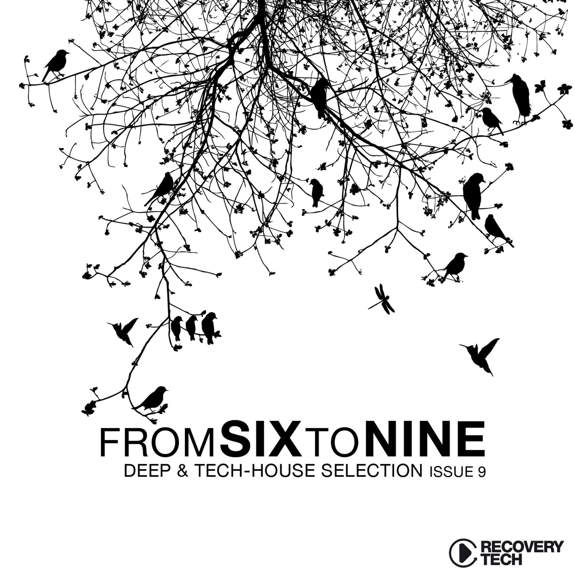 Постер альбома Fromsixtonine Issue 9