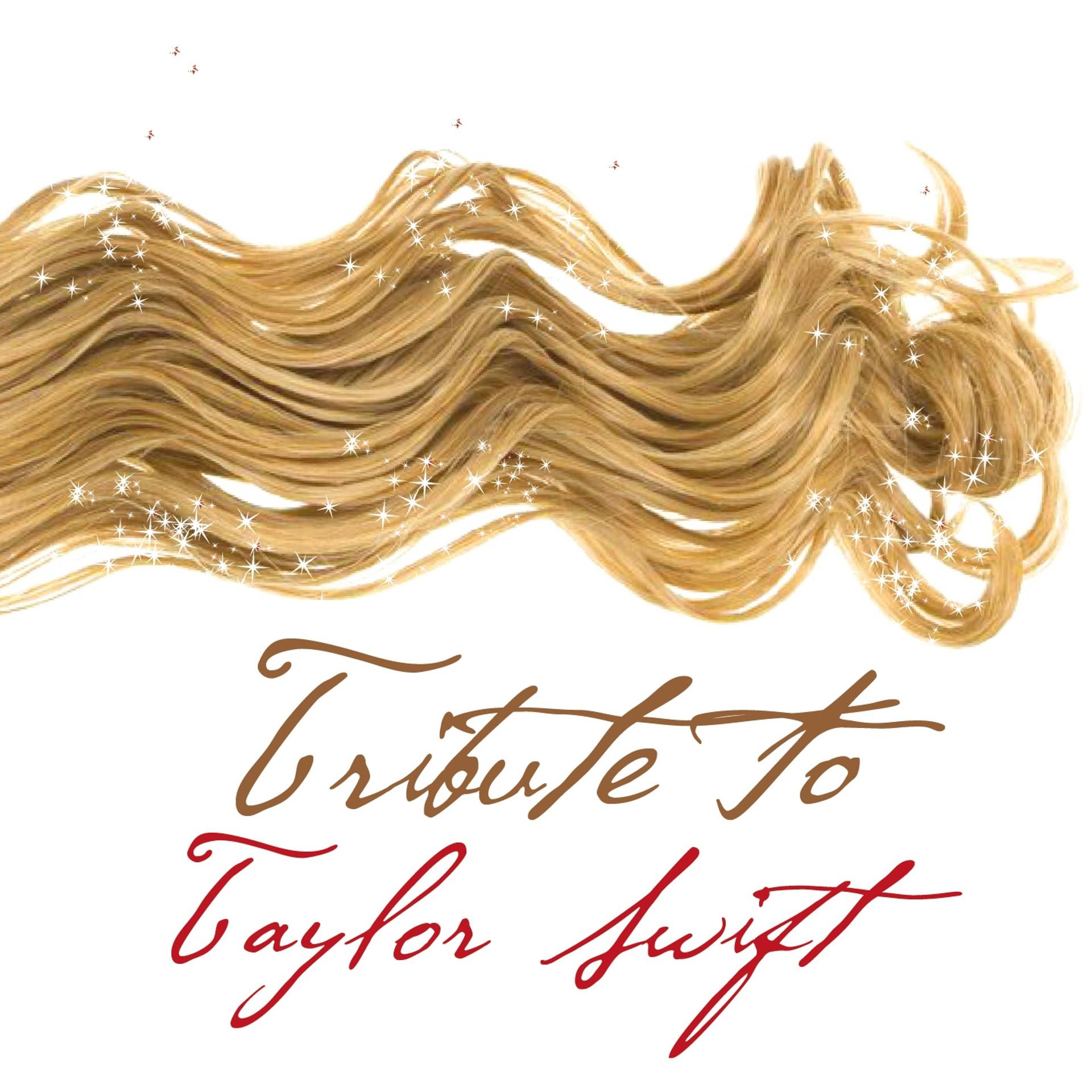 Постер альбома Tribute to Taylor Swift