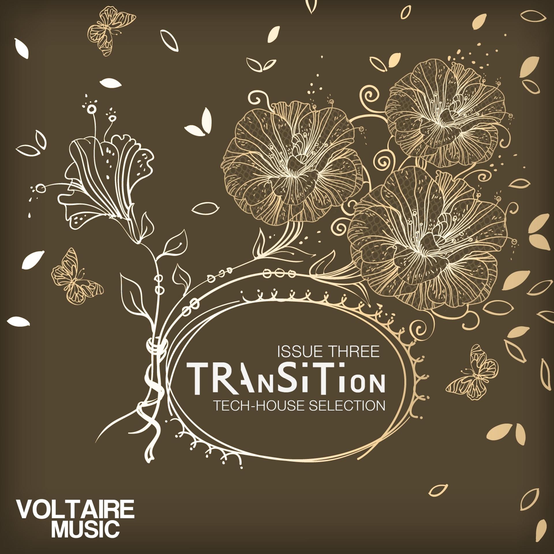 Постер альбома Transition Issue 03