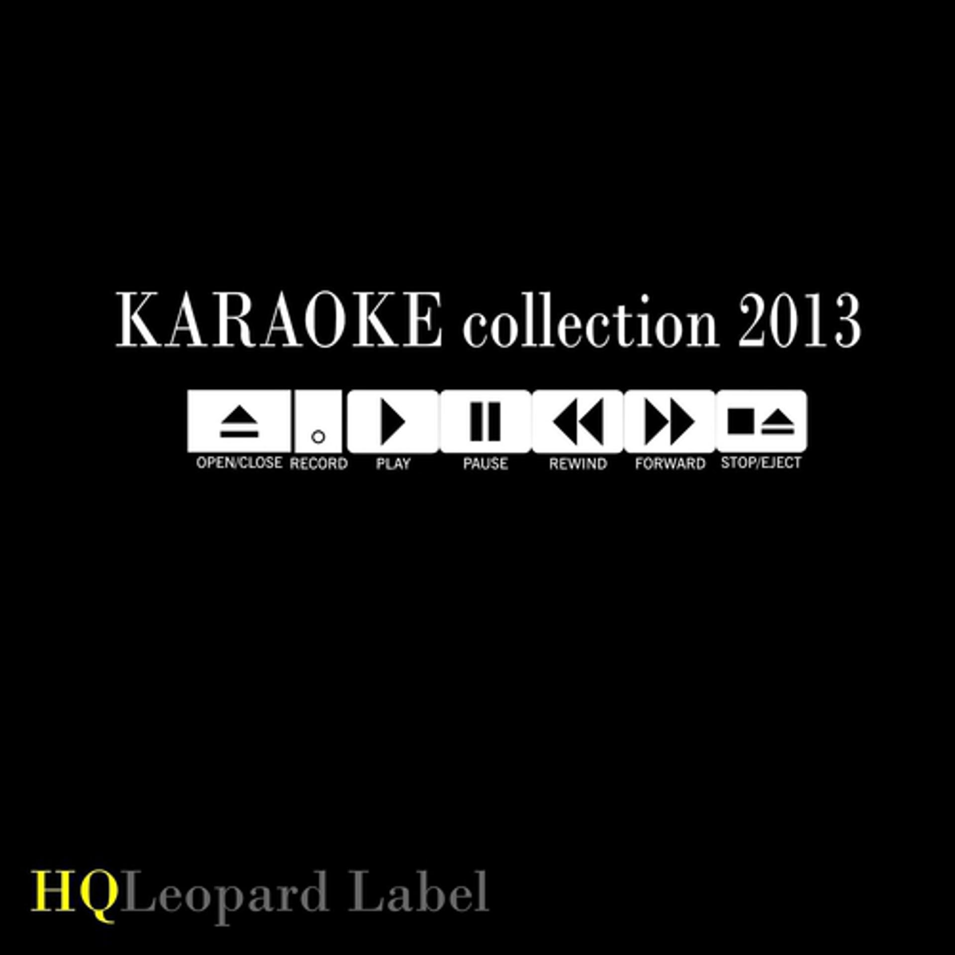 Постер альбома Karaoke Collection 2013