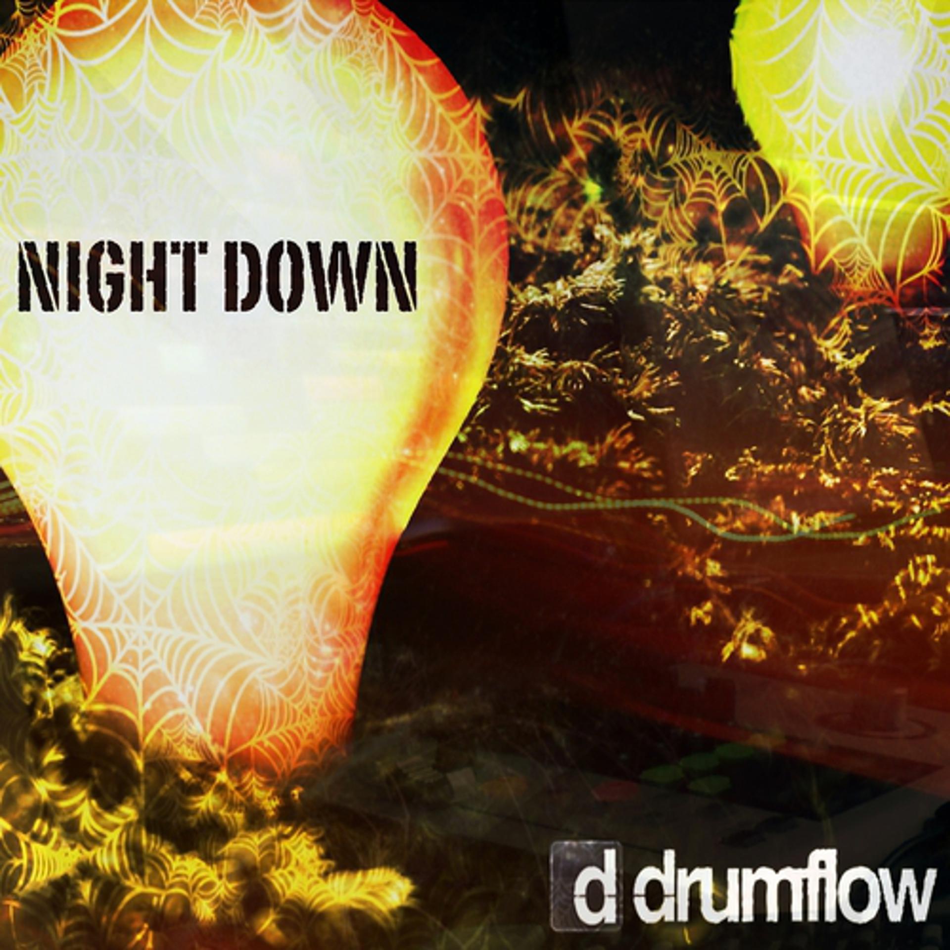 Постер альбома Night Down