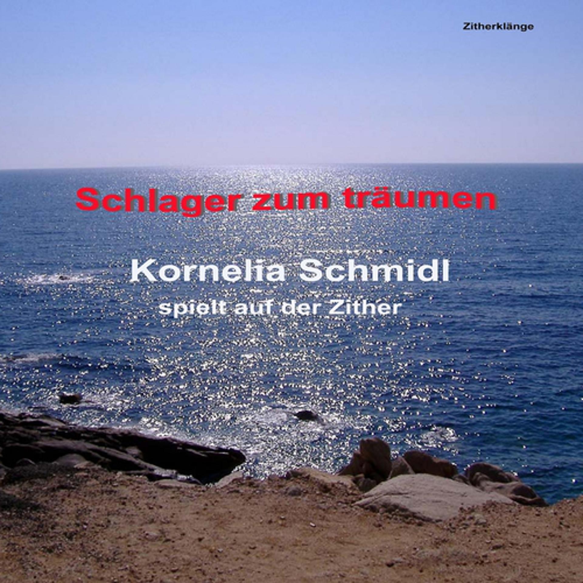 Постер альбома Schlager zum Träumen