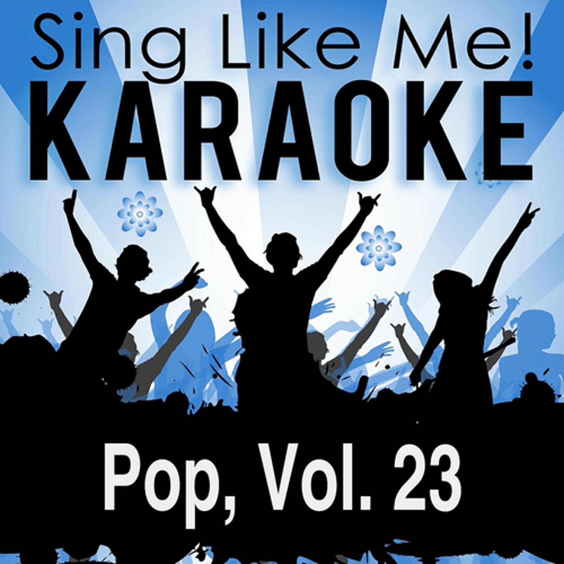 Постер альбома Pop, Vol. 23 (Karaoke Version)