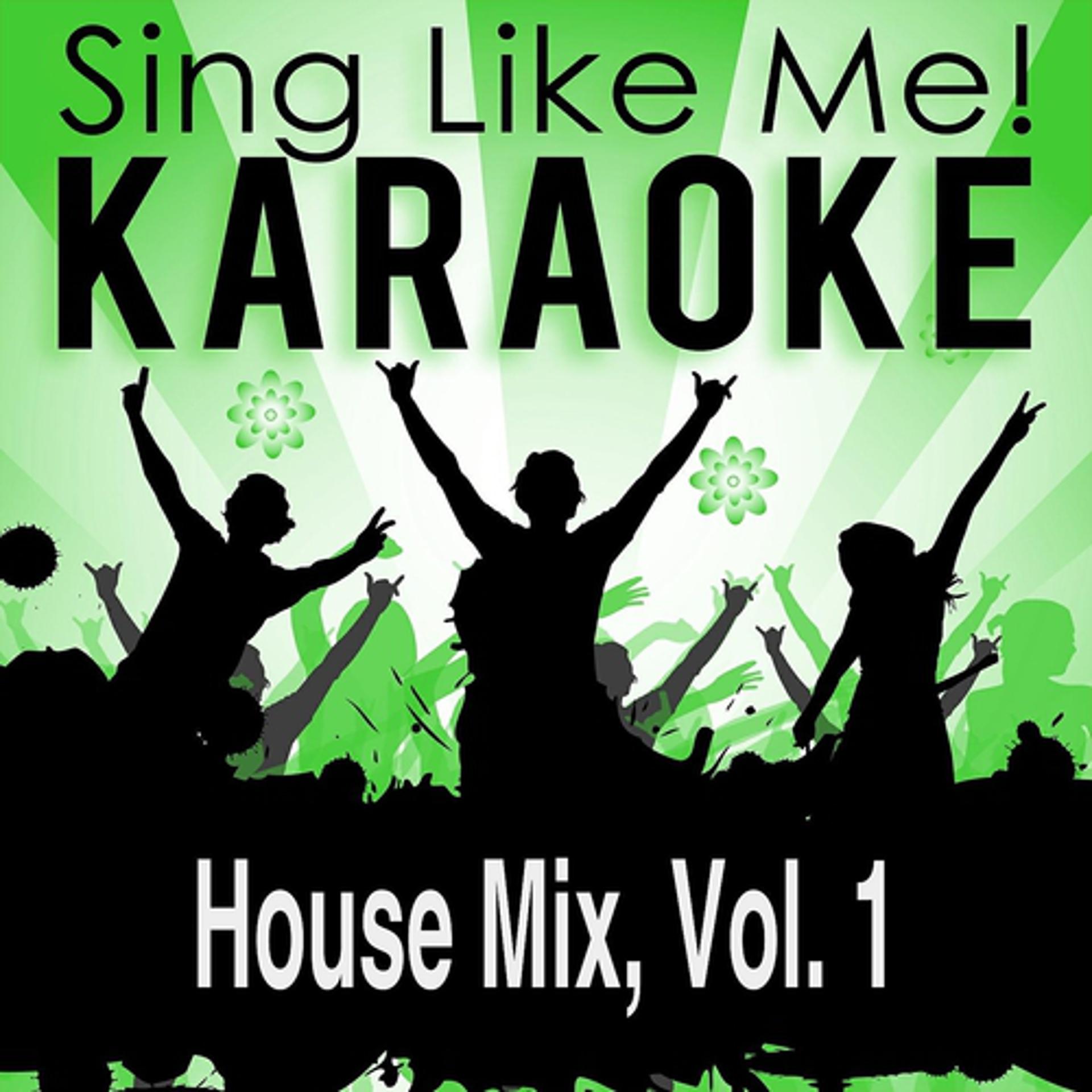 Постер альбома House Mix, Vol. 1 (Karaoke Version)