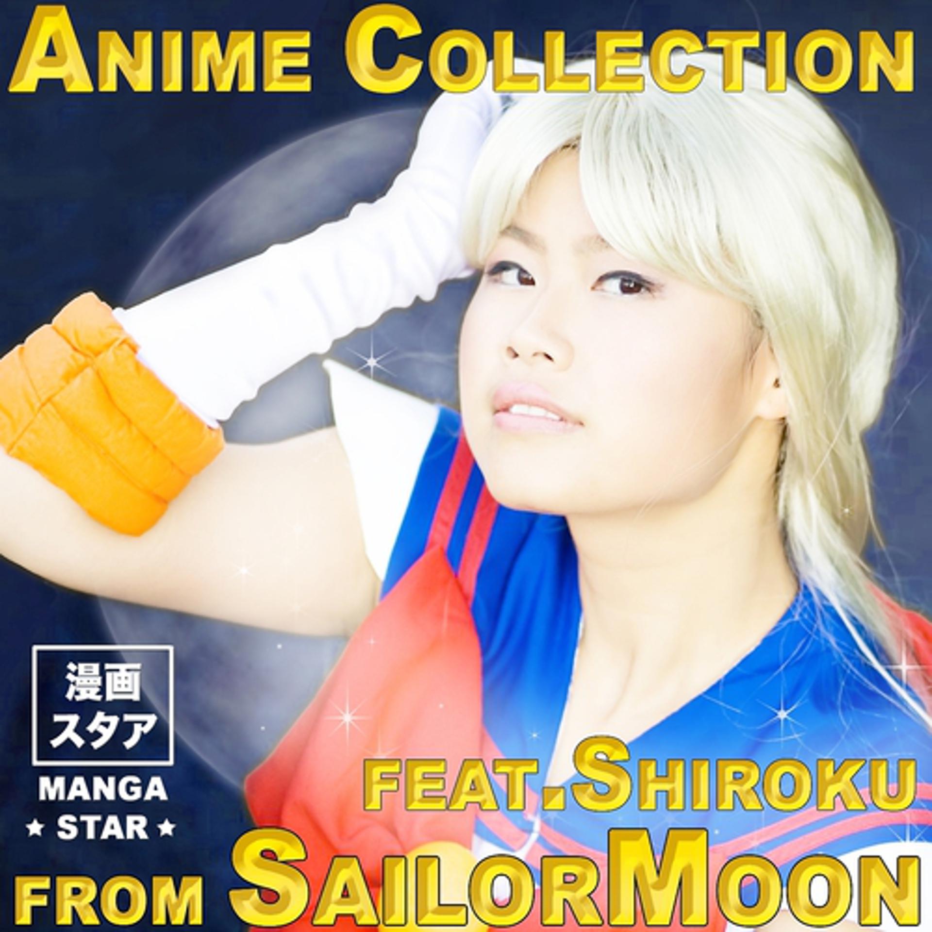 Постер альбома Anime Collection from Sailormoon