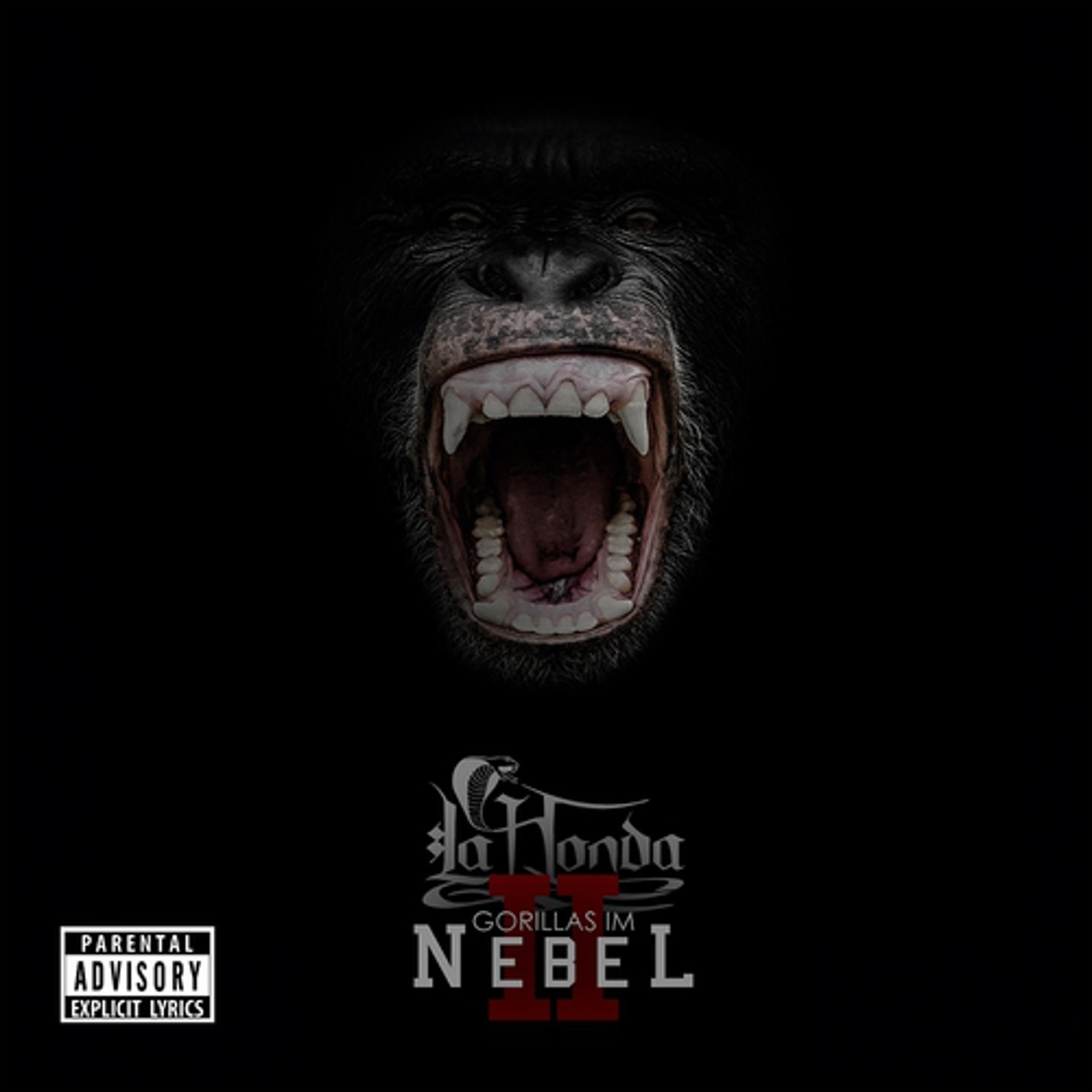Постер альбома Gorillas im Nebel II