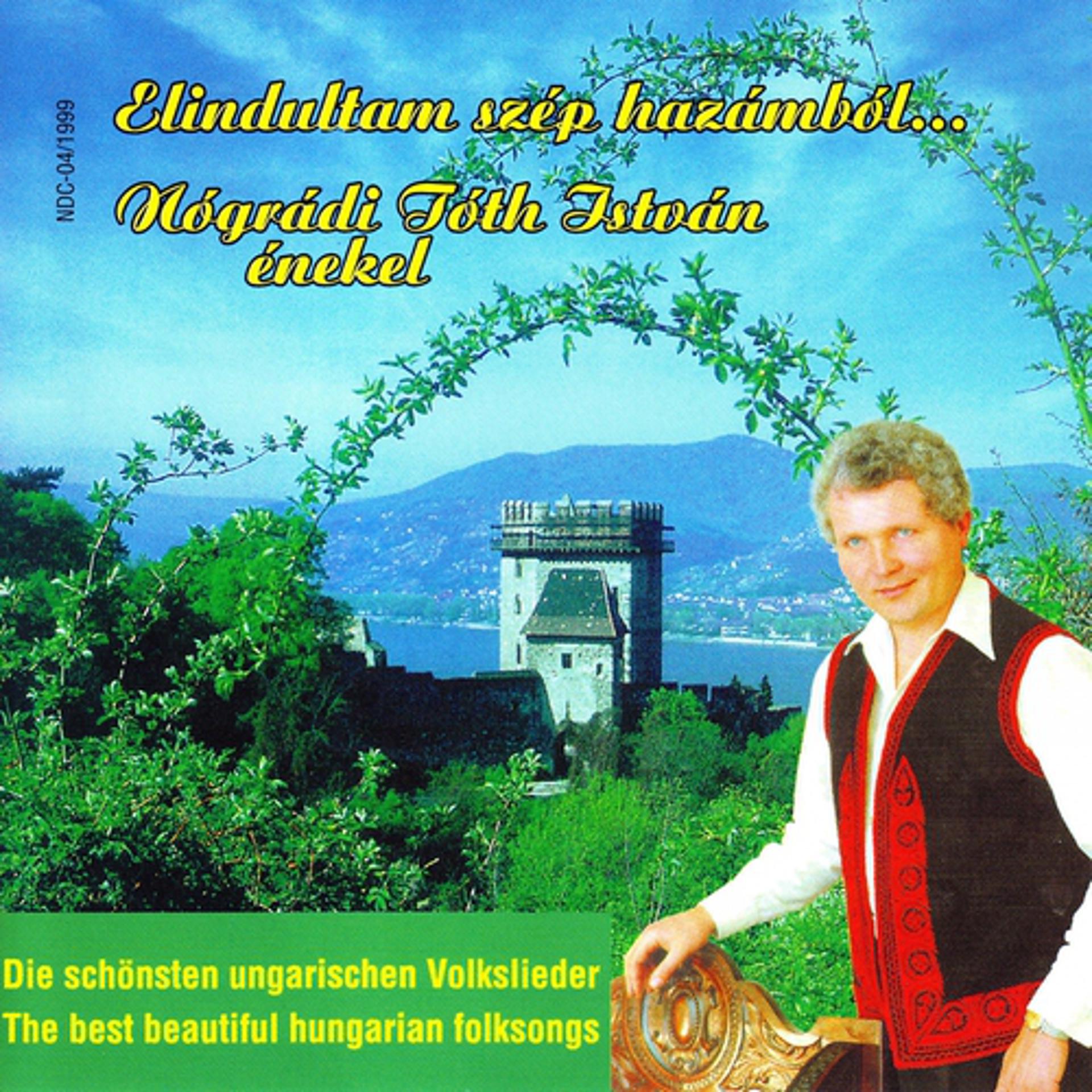 Постер альбома Elindultam Szép Hazámból