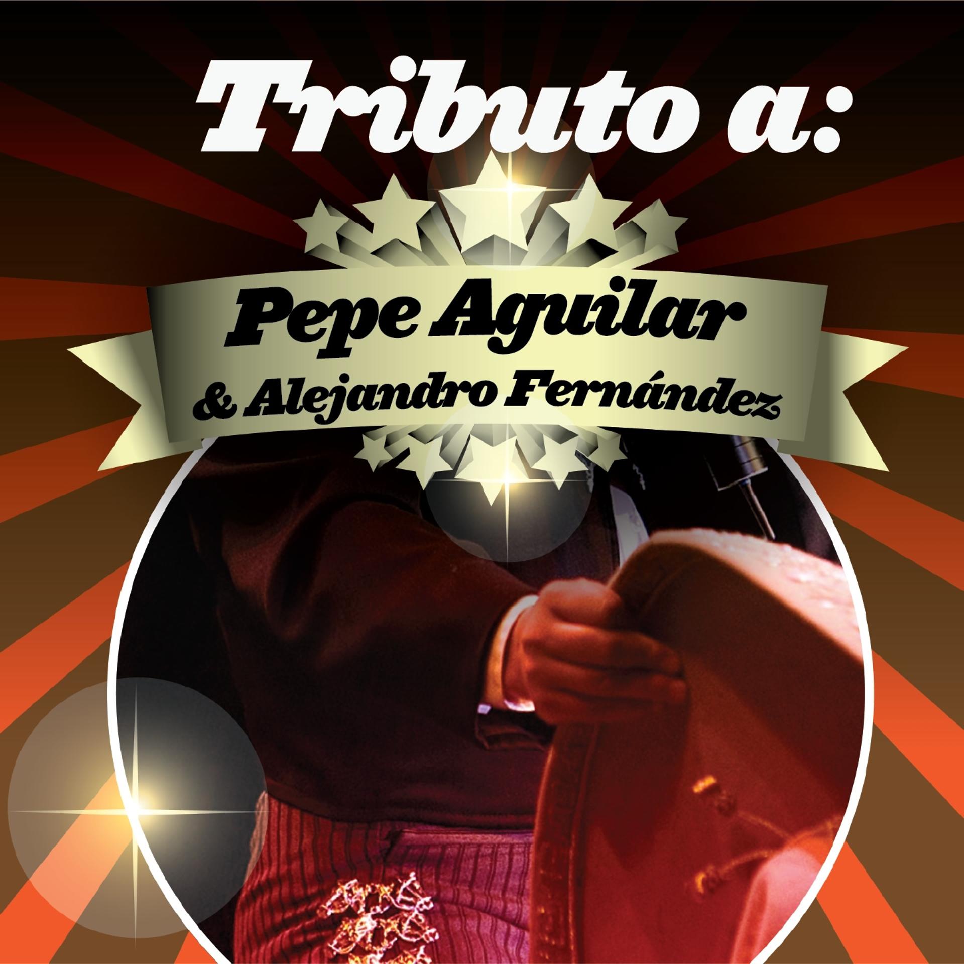 Постер альбома Tributo a Pepe Aguilar & Alejandro Fernández