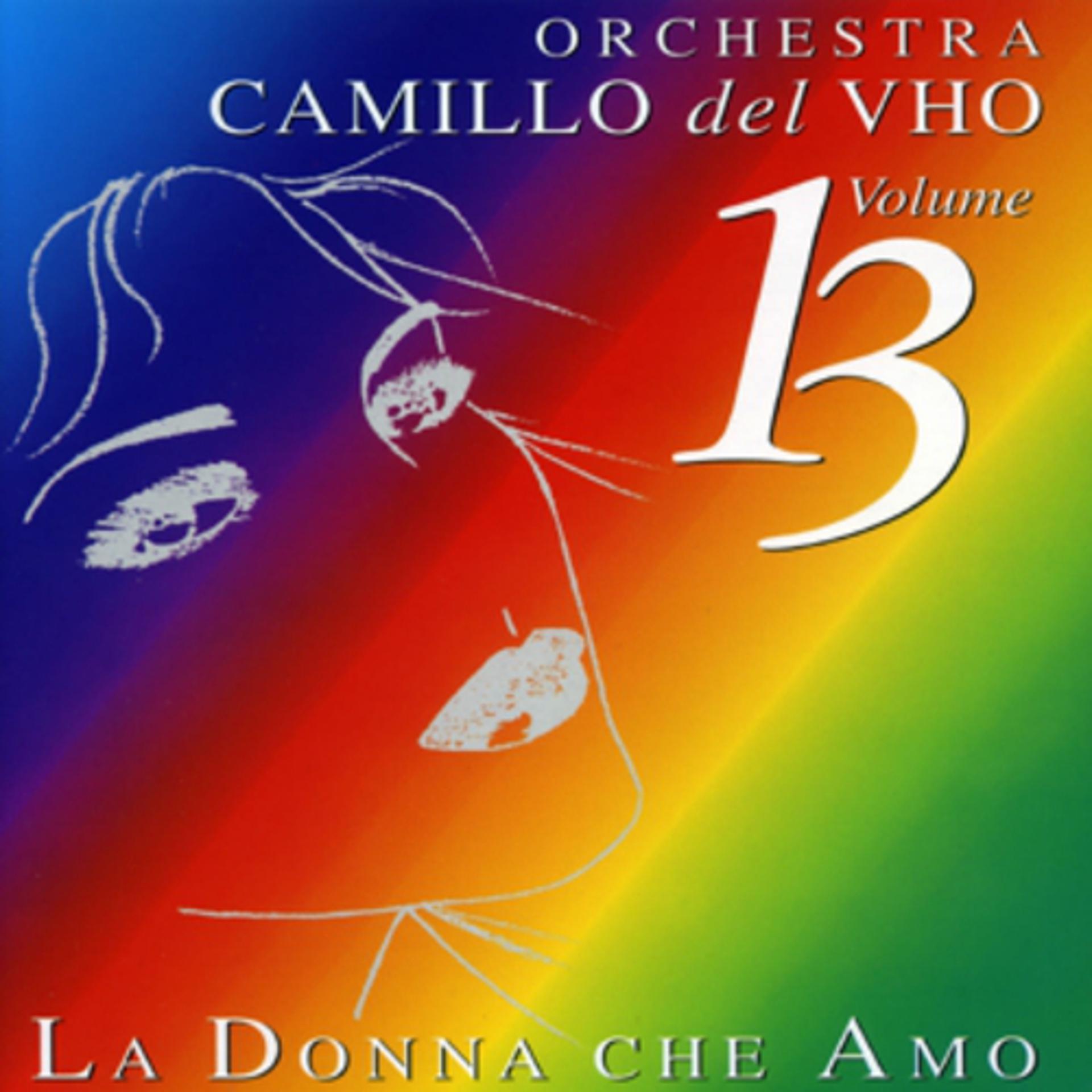 Постер альбома La donna che amo, vol. 13