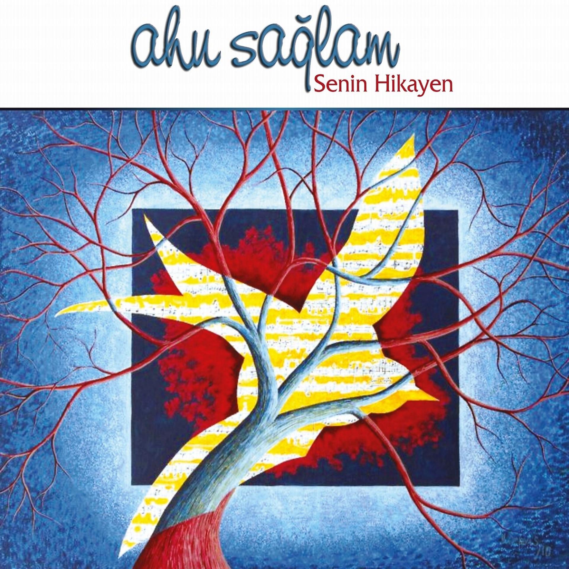 Постер альбома Senin Hikayen