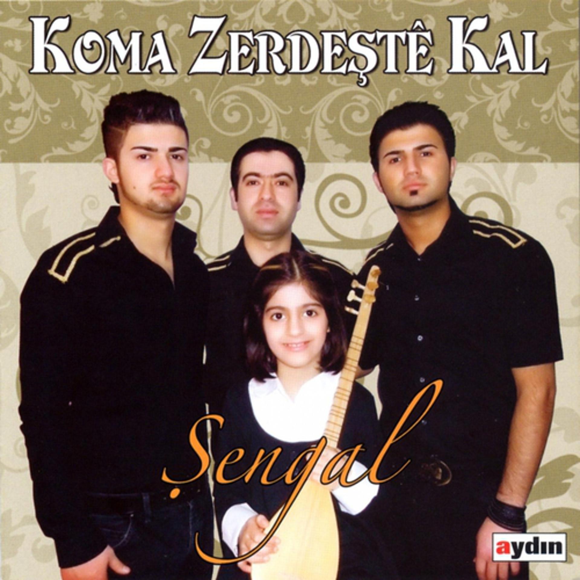 Постер альбома Şengal