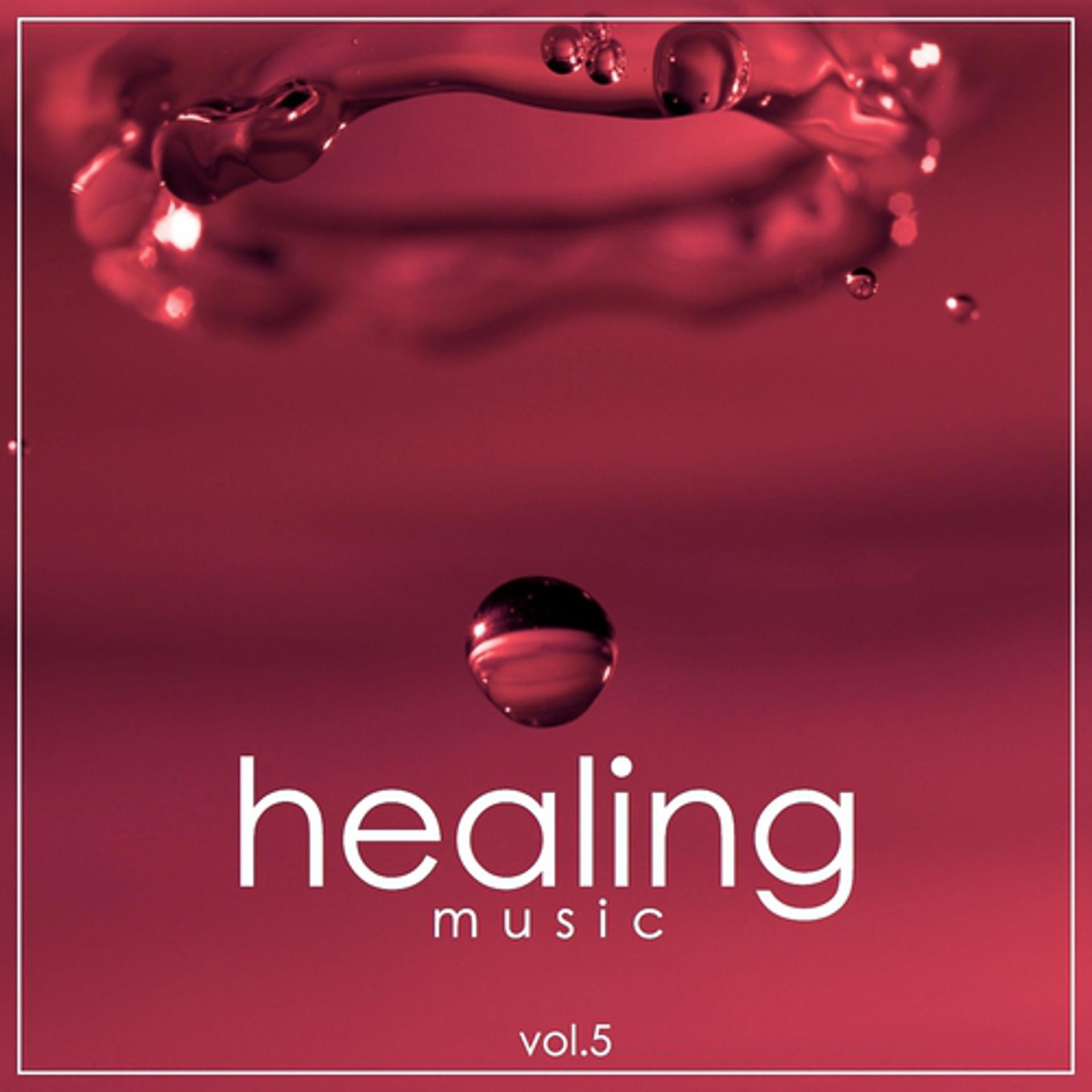 Постер альбома Healing Music, Vol. 5