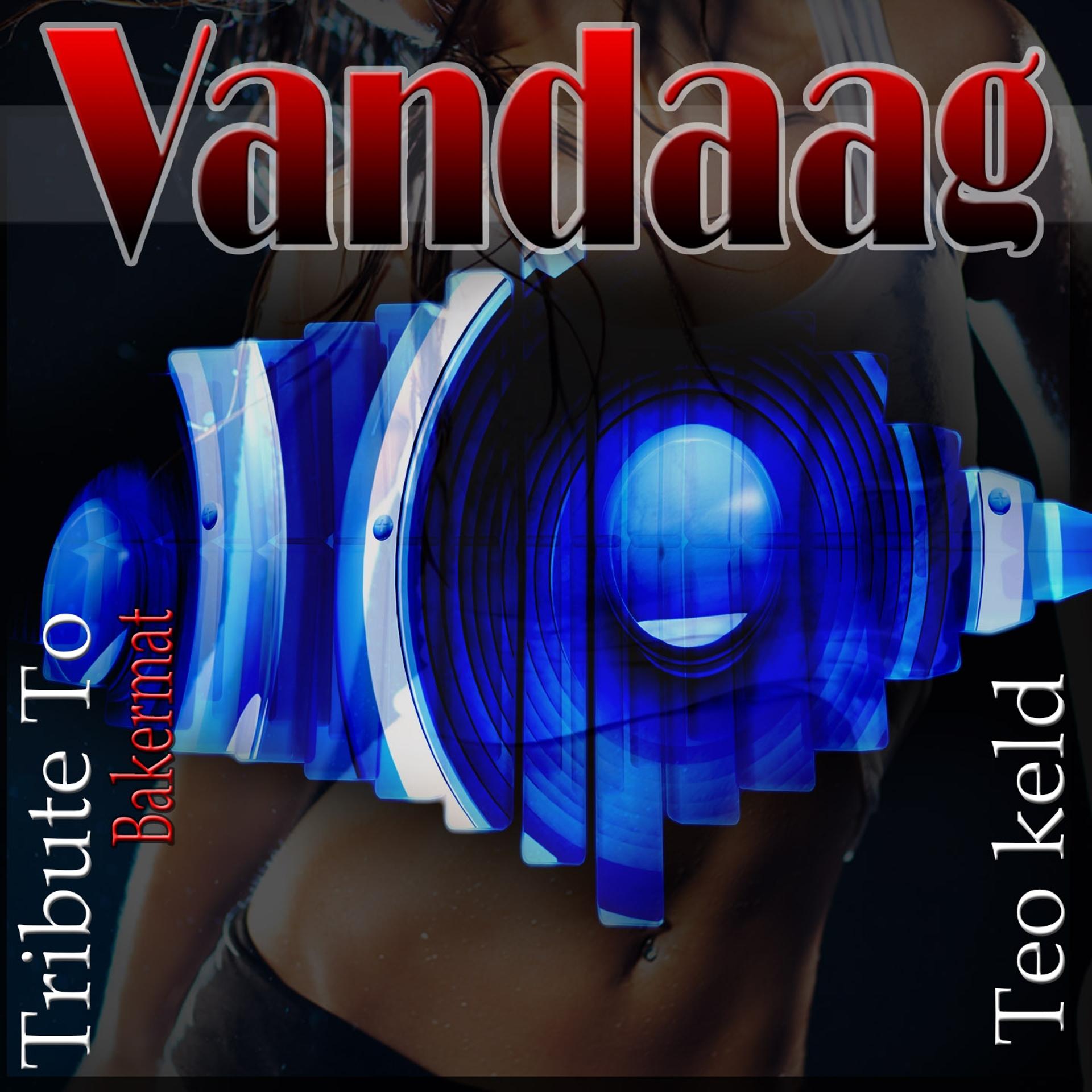 Постер альбома Vandaag: Tribute To Bakermat
