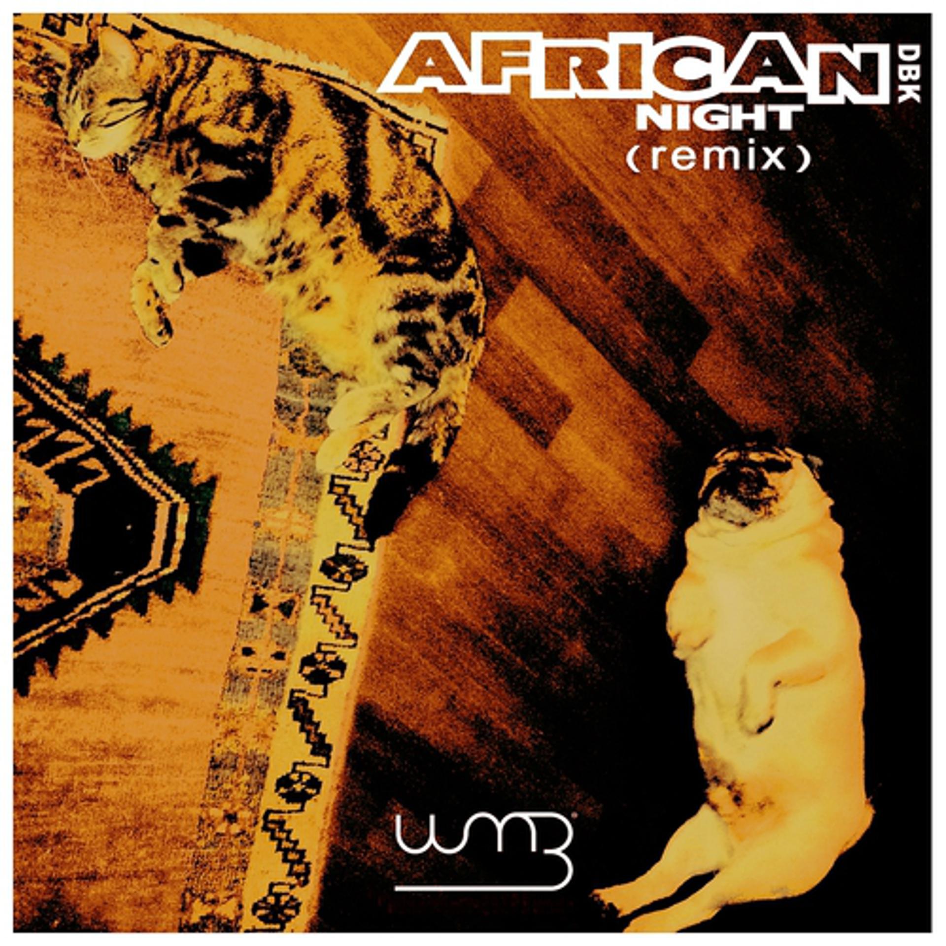 Постер альбома African Night