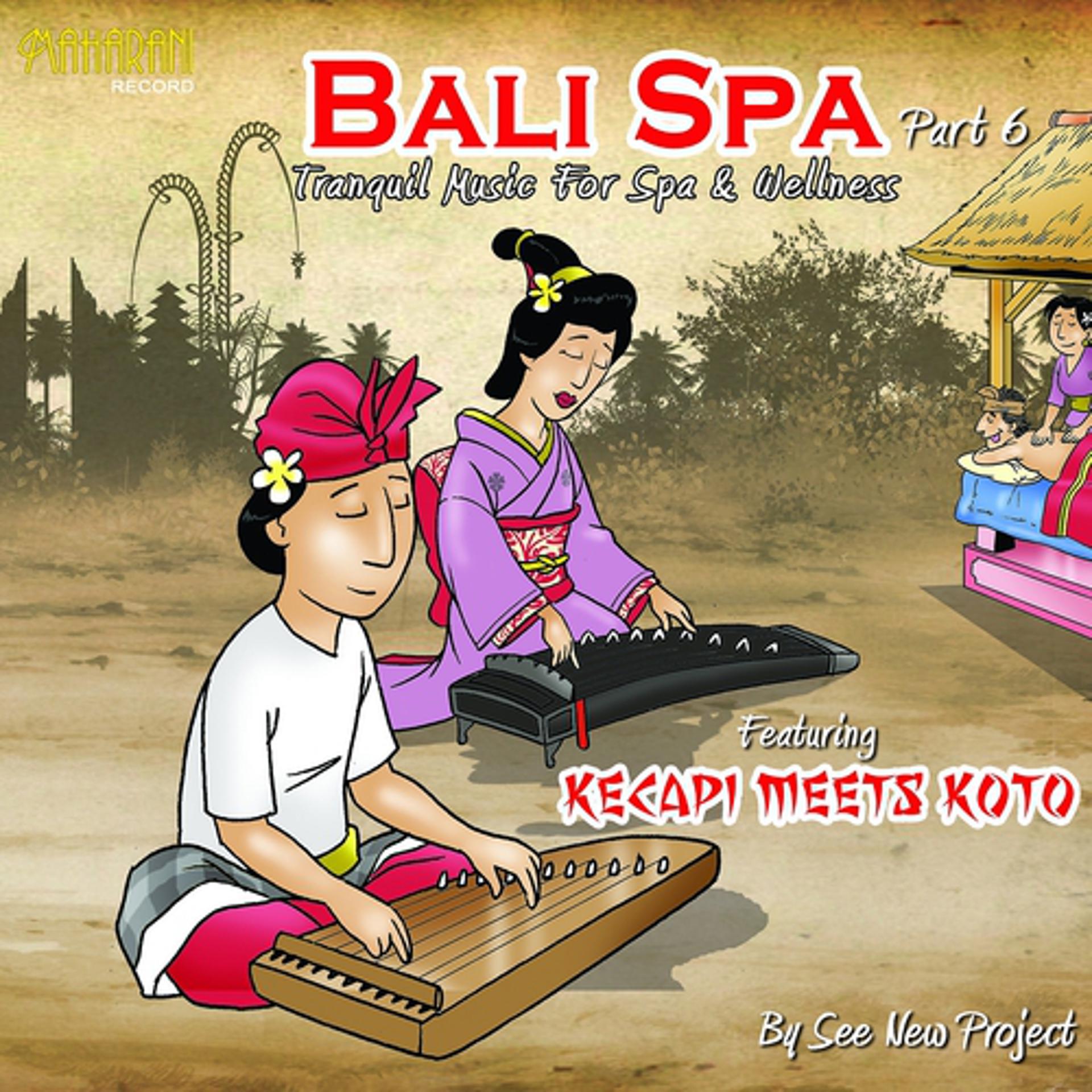 Постер альбома Bali Spa, Pt. 6