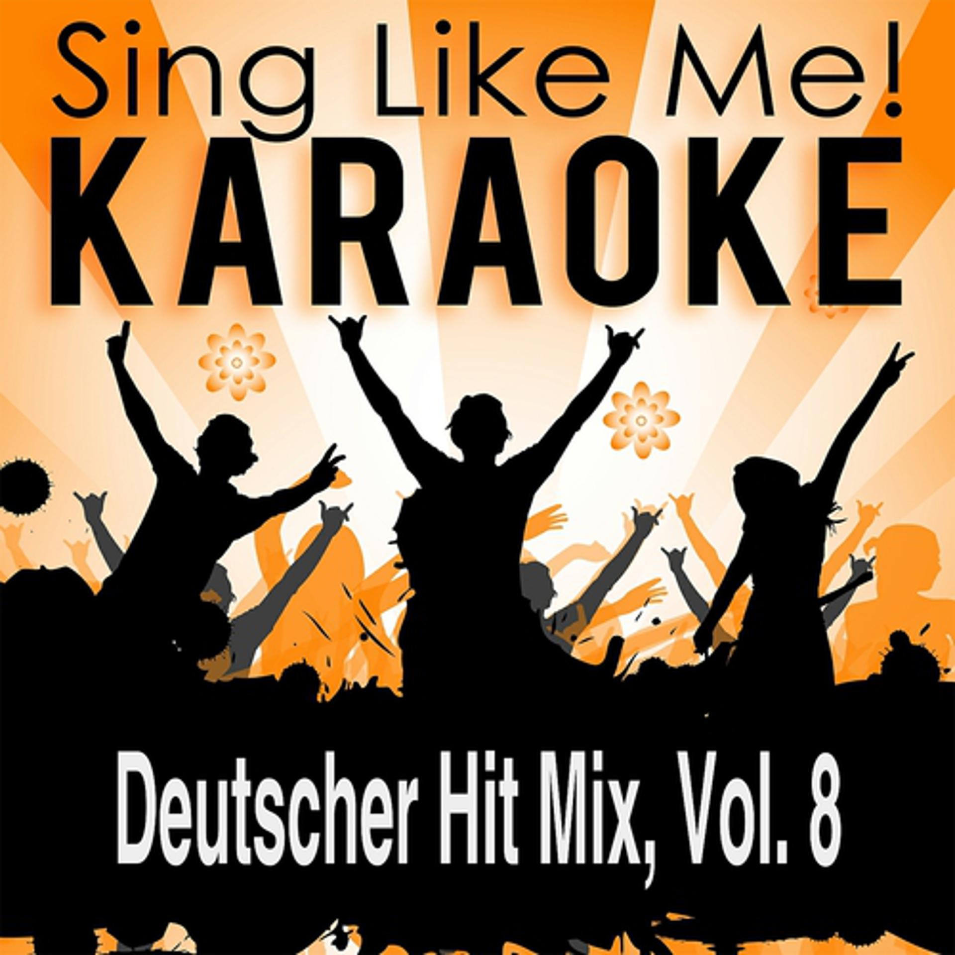 Постер альбома Deutscher Hit Mix, Vol. 8 (Karaoke Version)