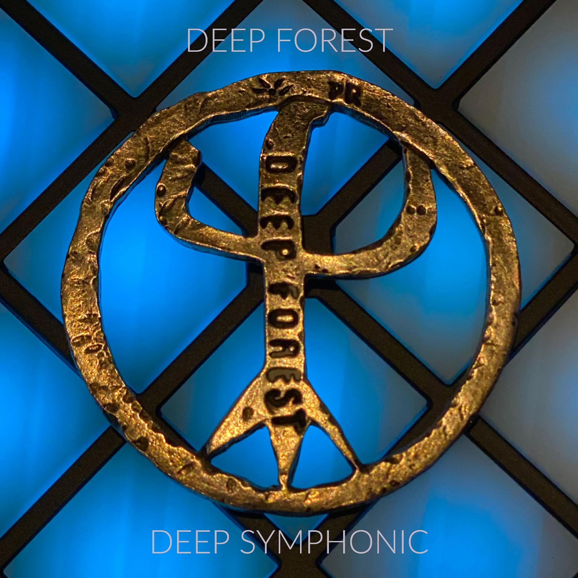 Постер альбома Deep Symphonic