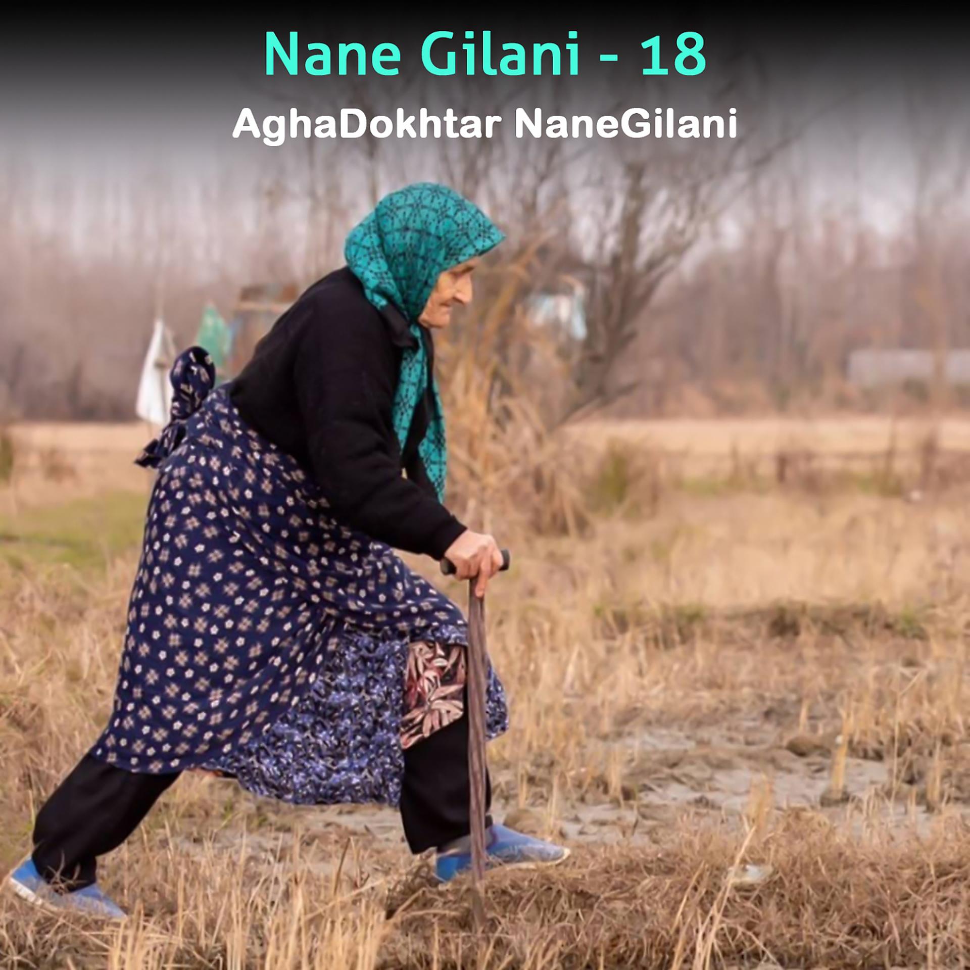 Постер альбома Nane Gilani, Vol. 18