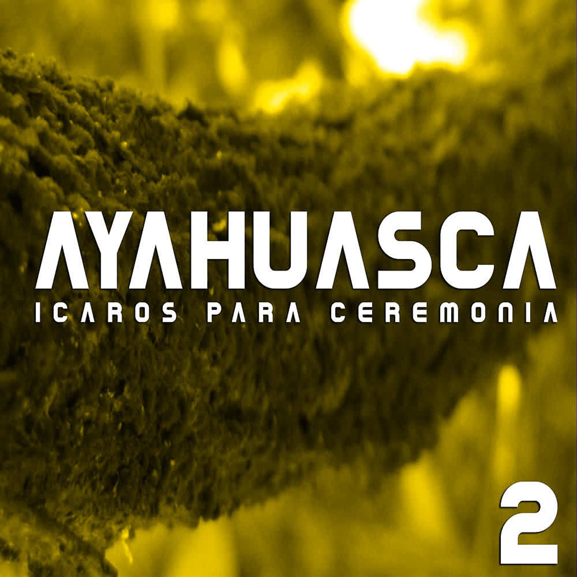 Постер альбома Icaros para Ceremonia (Vol. 2)
