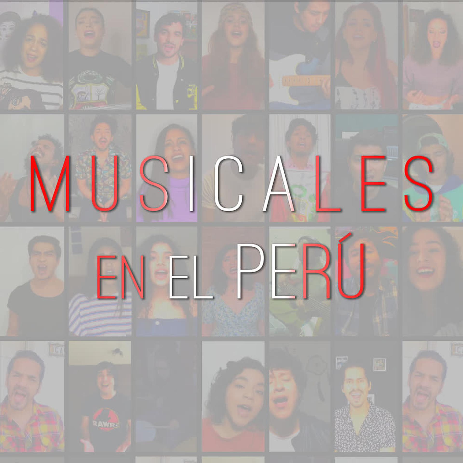 Постер альбома Musicales en el Perú