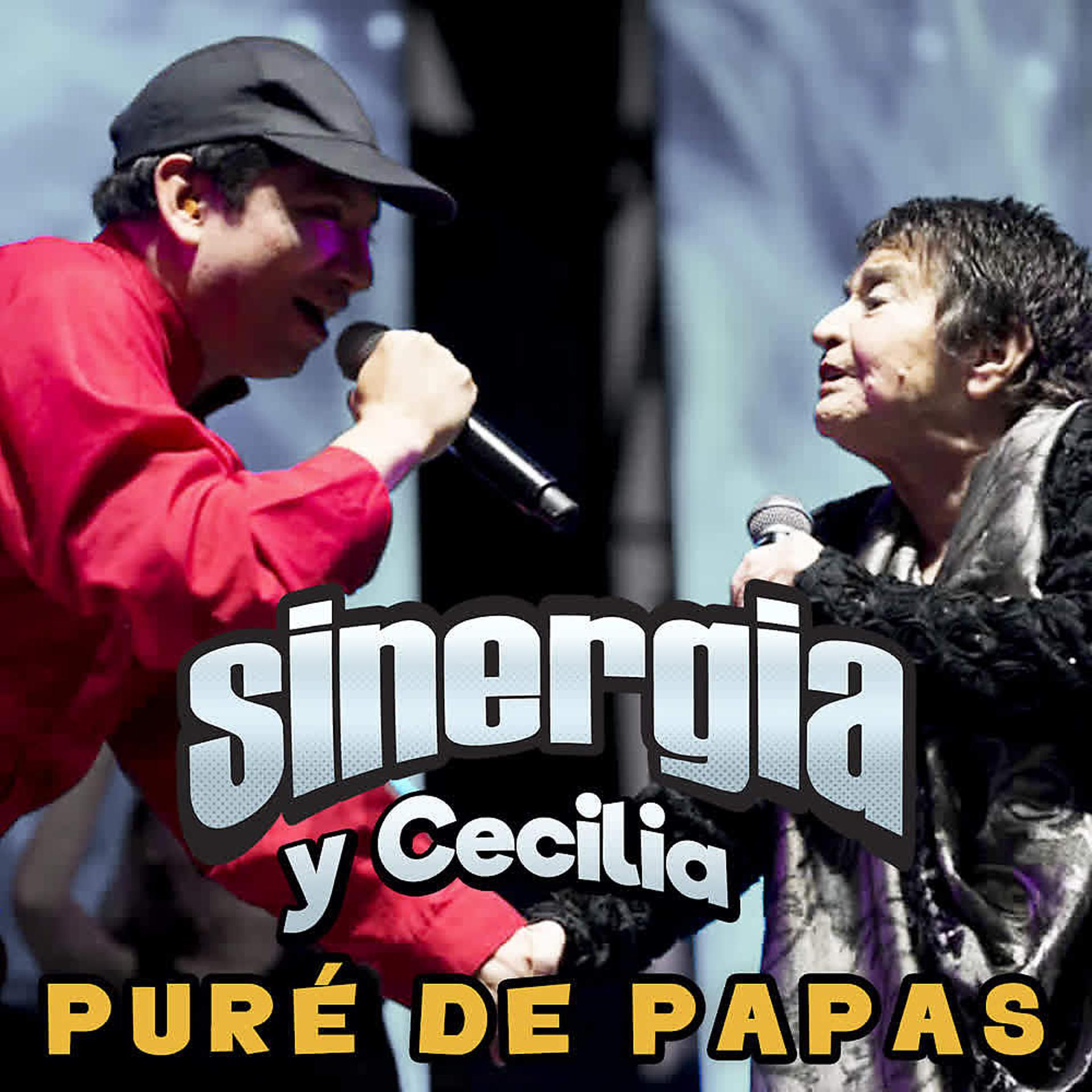 Постер альбома Puré de Papas