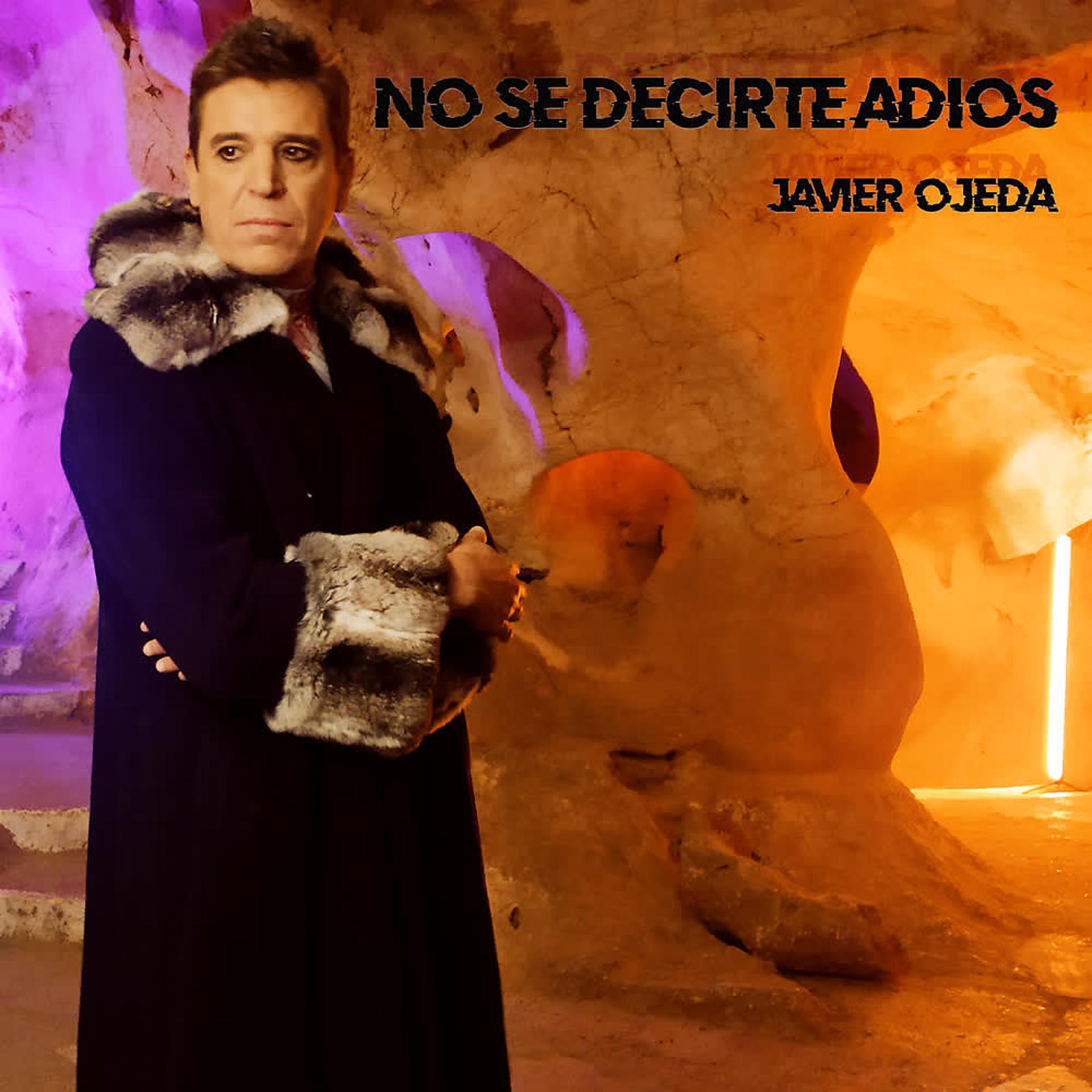 Постер альбома No Sé Decirte Adiós