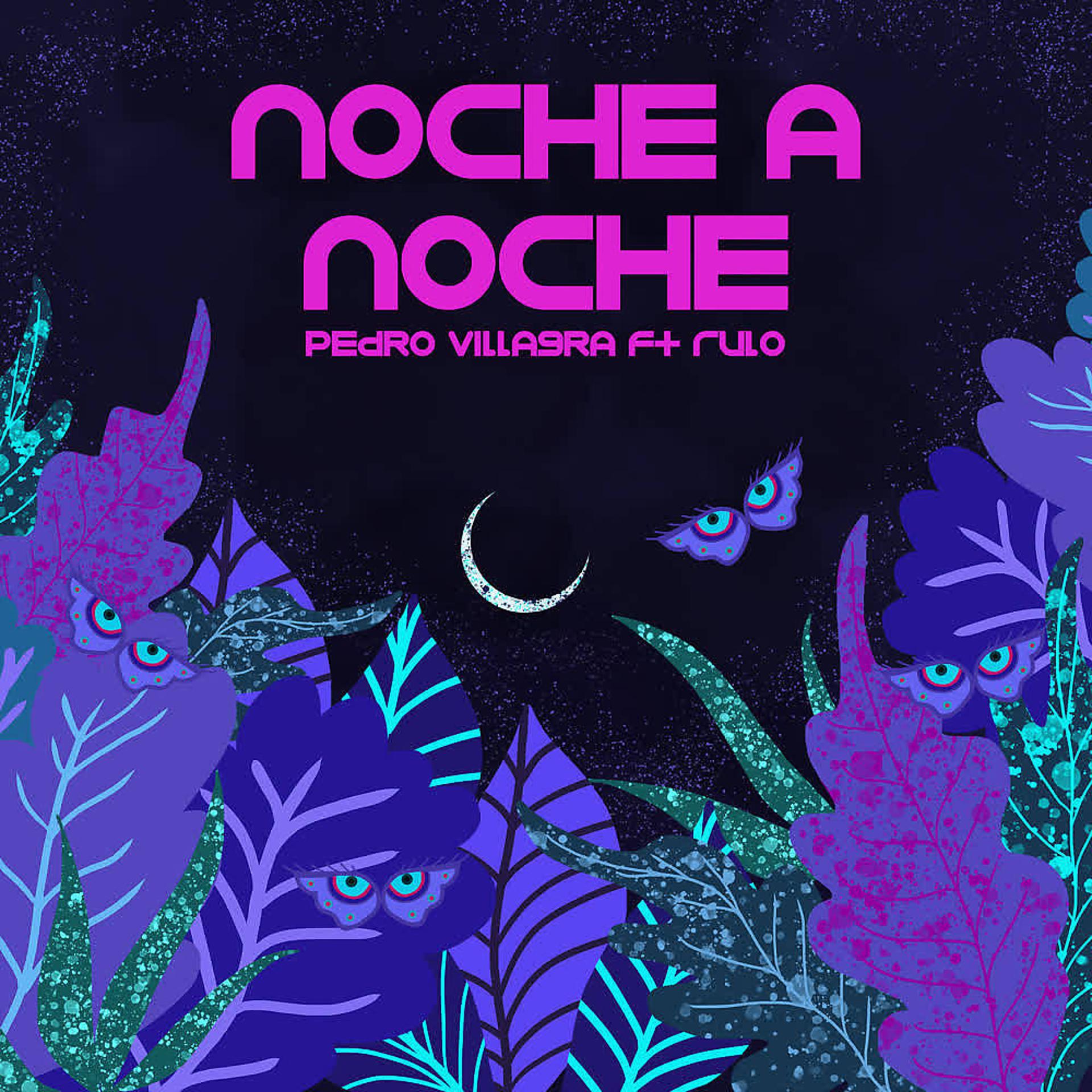 Постер альбома Noche a Noche